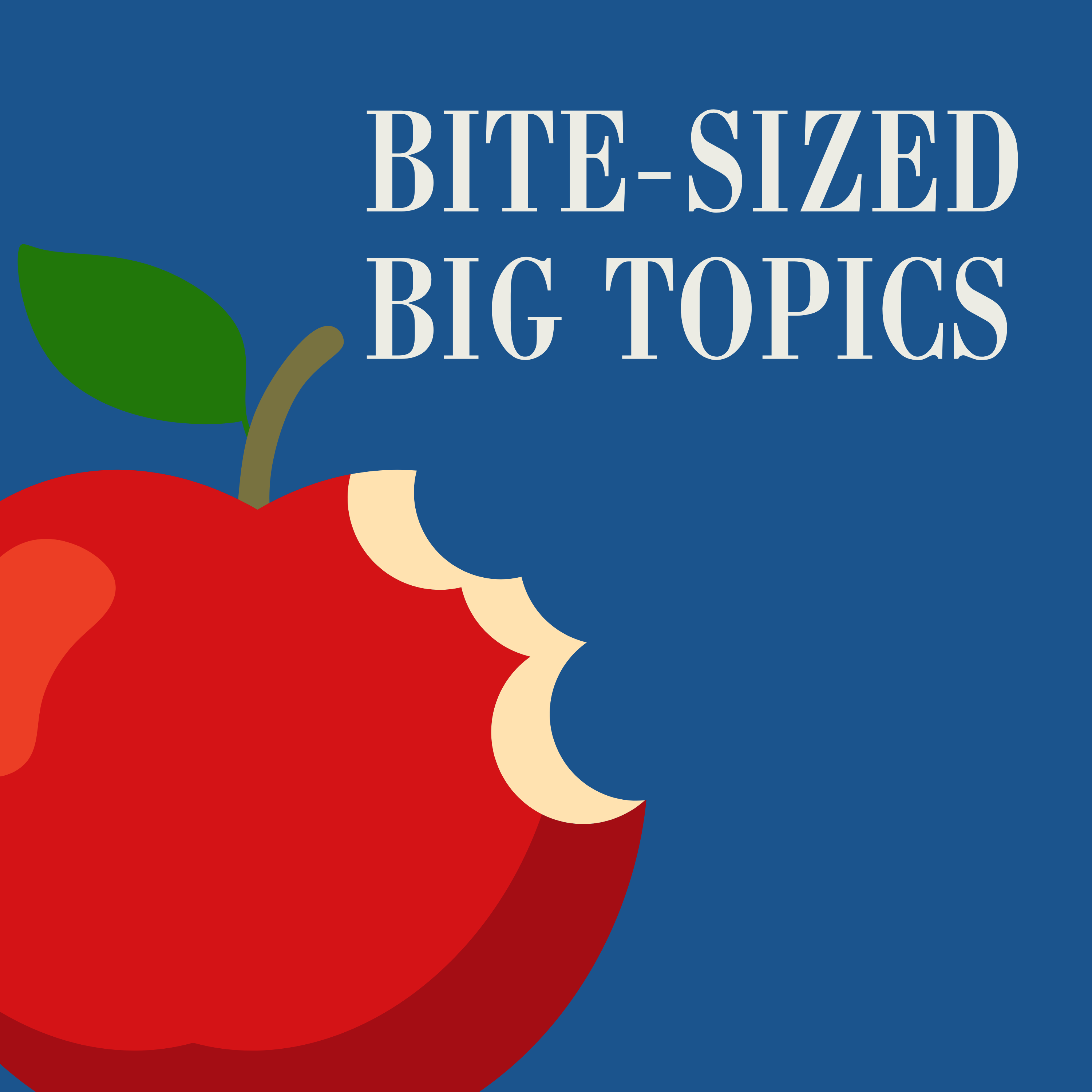 Bite-Sized Big Topics