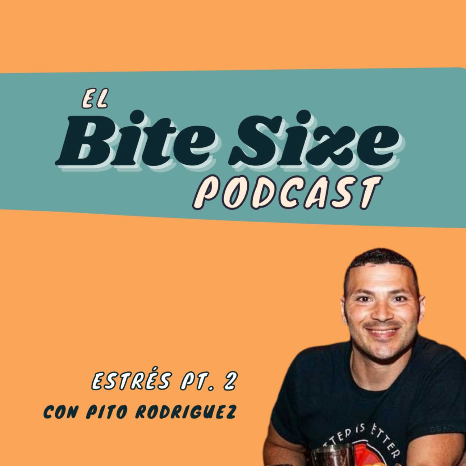 The Bite Size Podcast