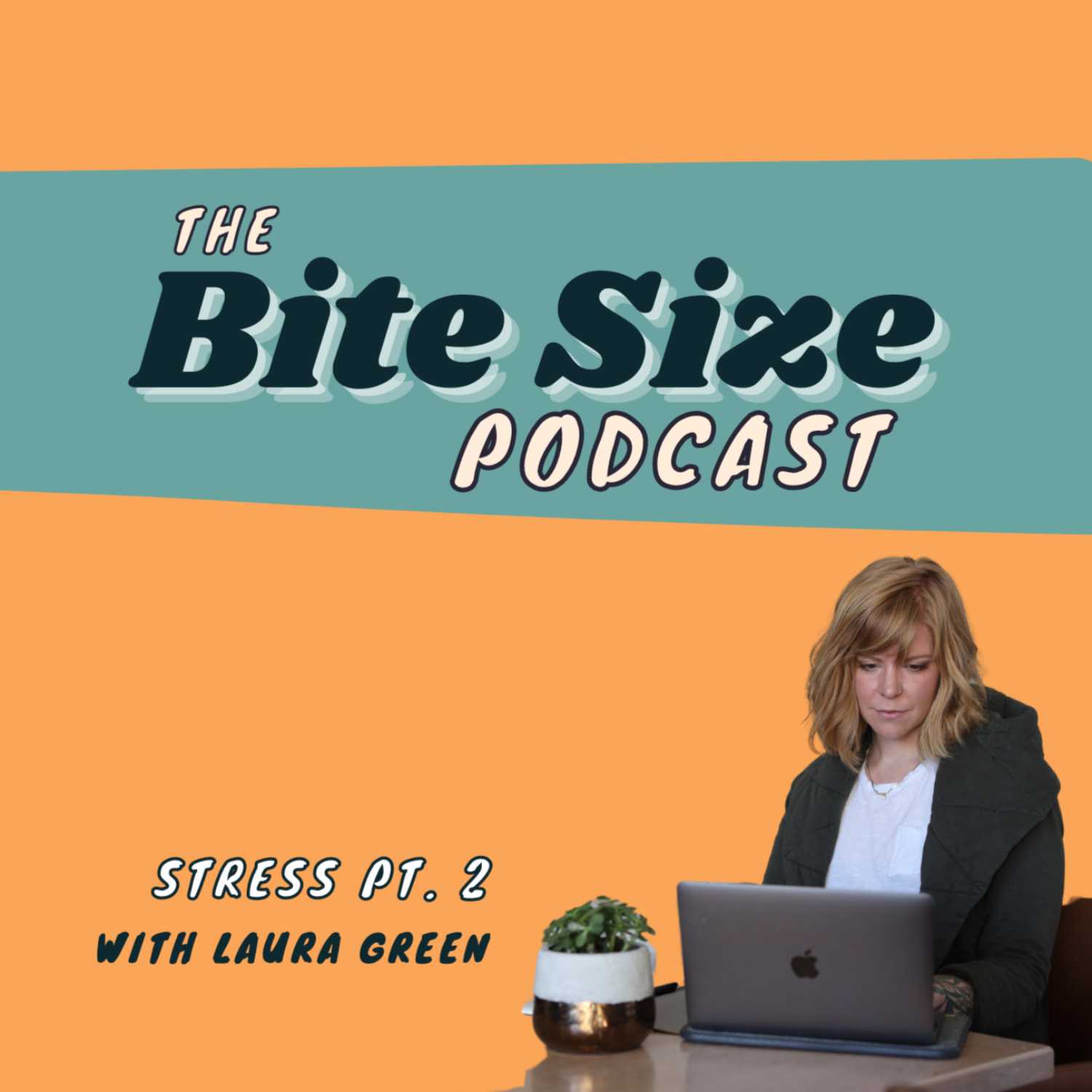 The Bite Size Podcast