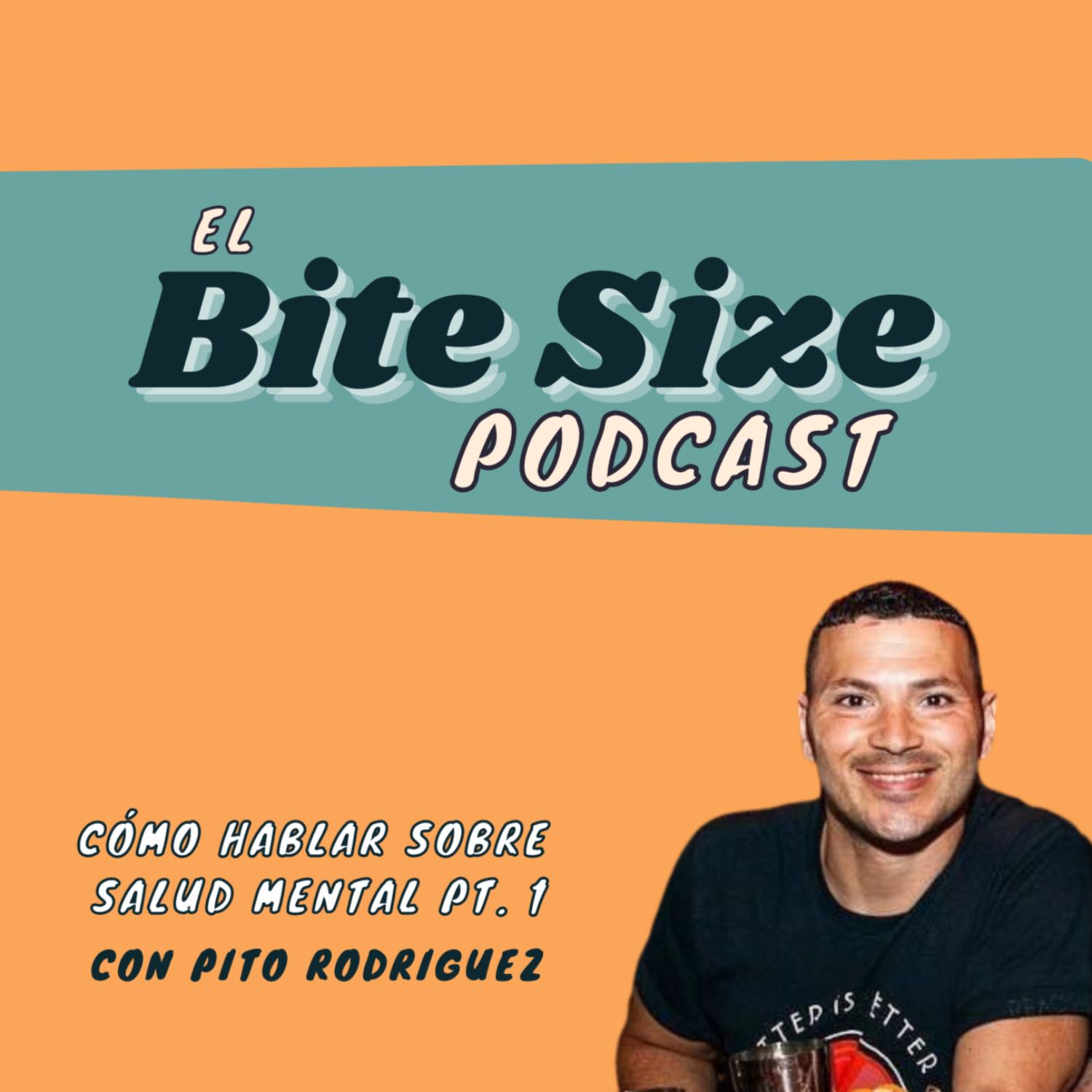 The Bite Size Podcast