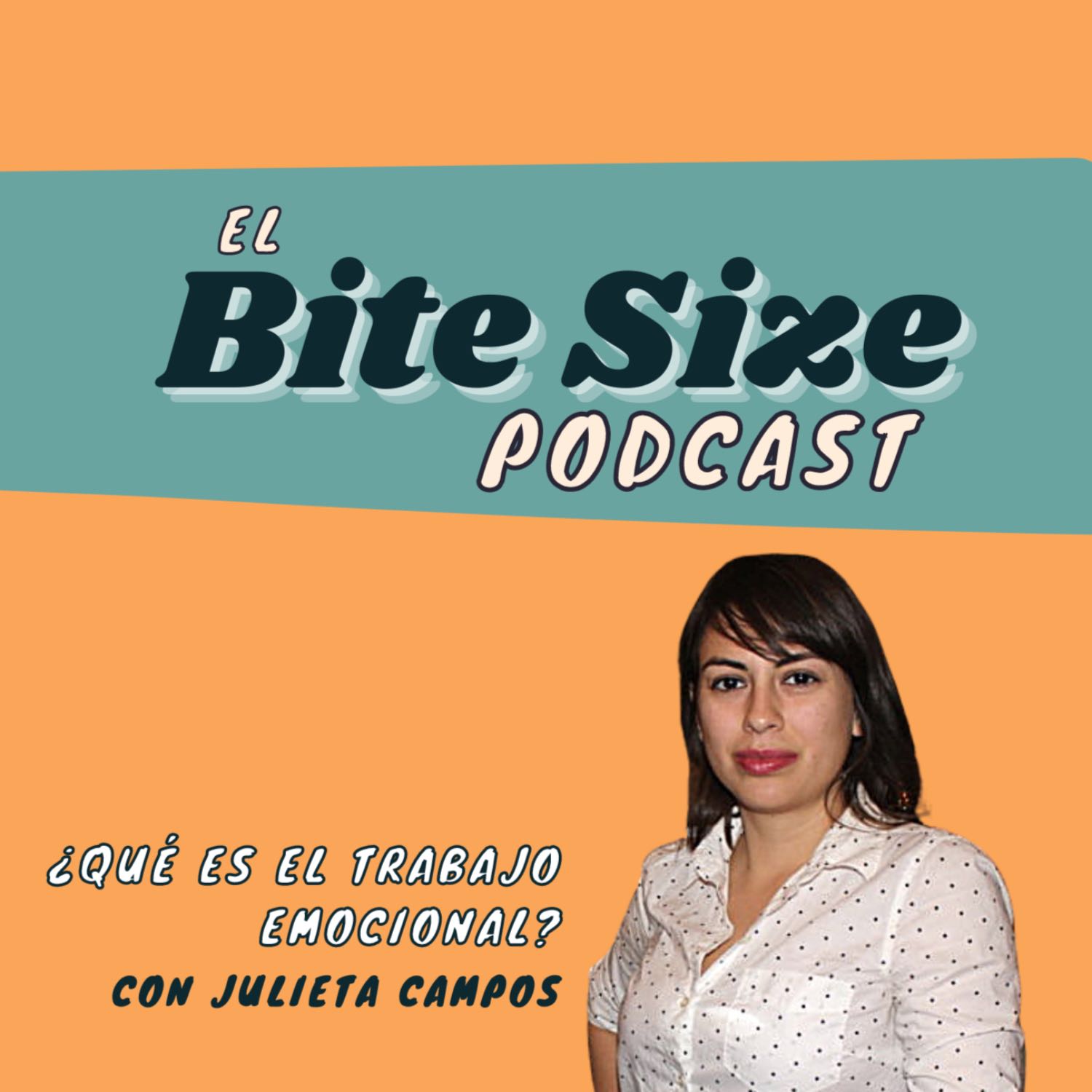 The Bite Size Podcast