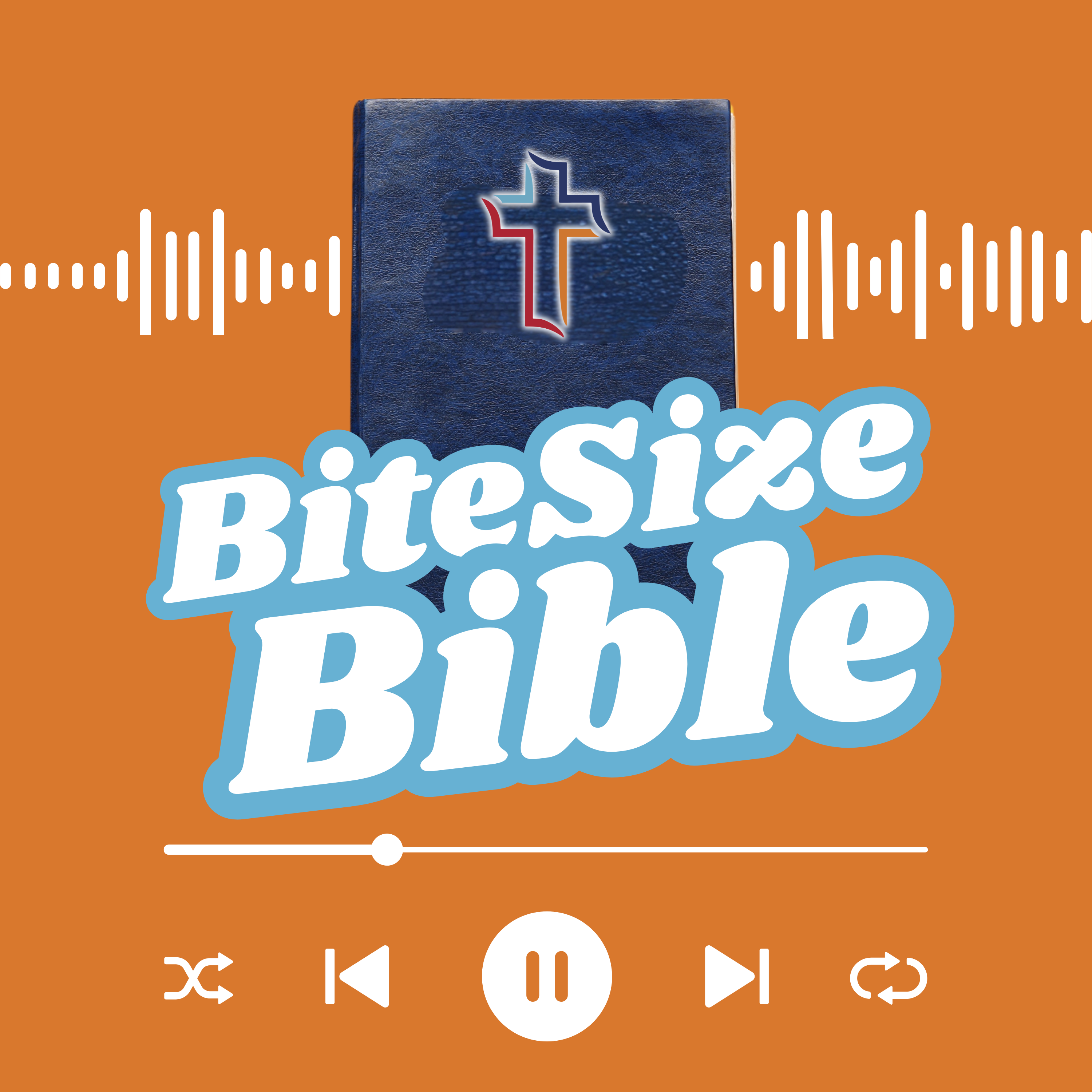 An Update from Bite Size Bible