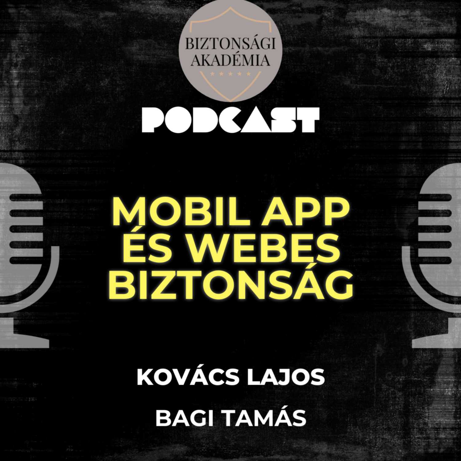 Mobil alkalmazás és webes biztonság