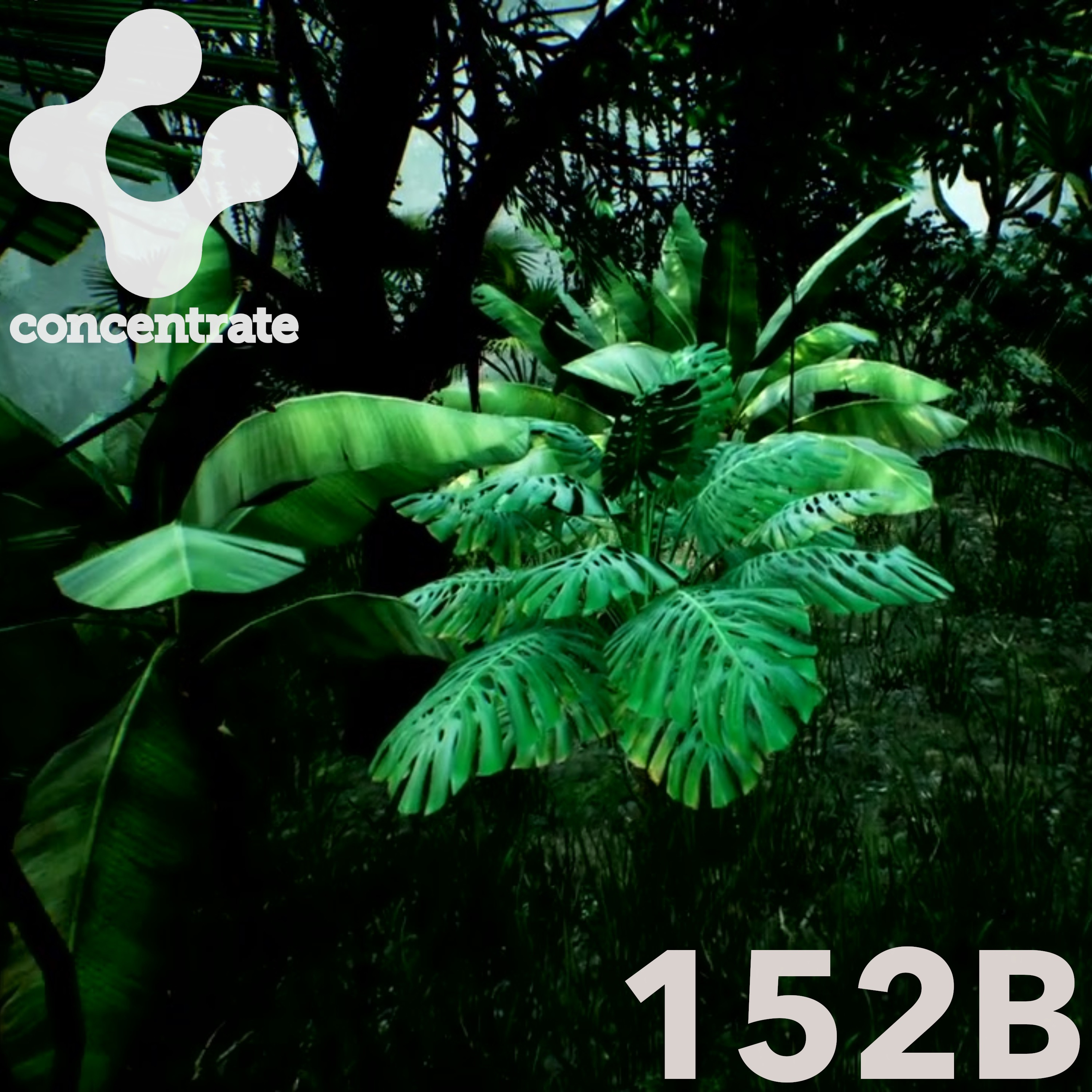 Blake Jarrell Concentrate Podcast