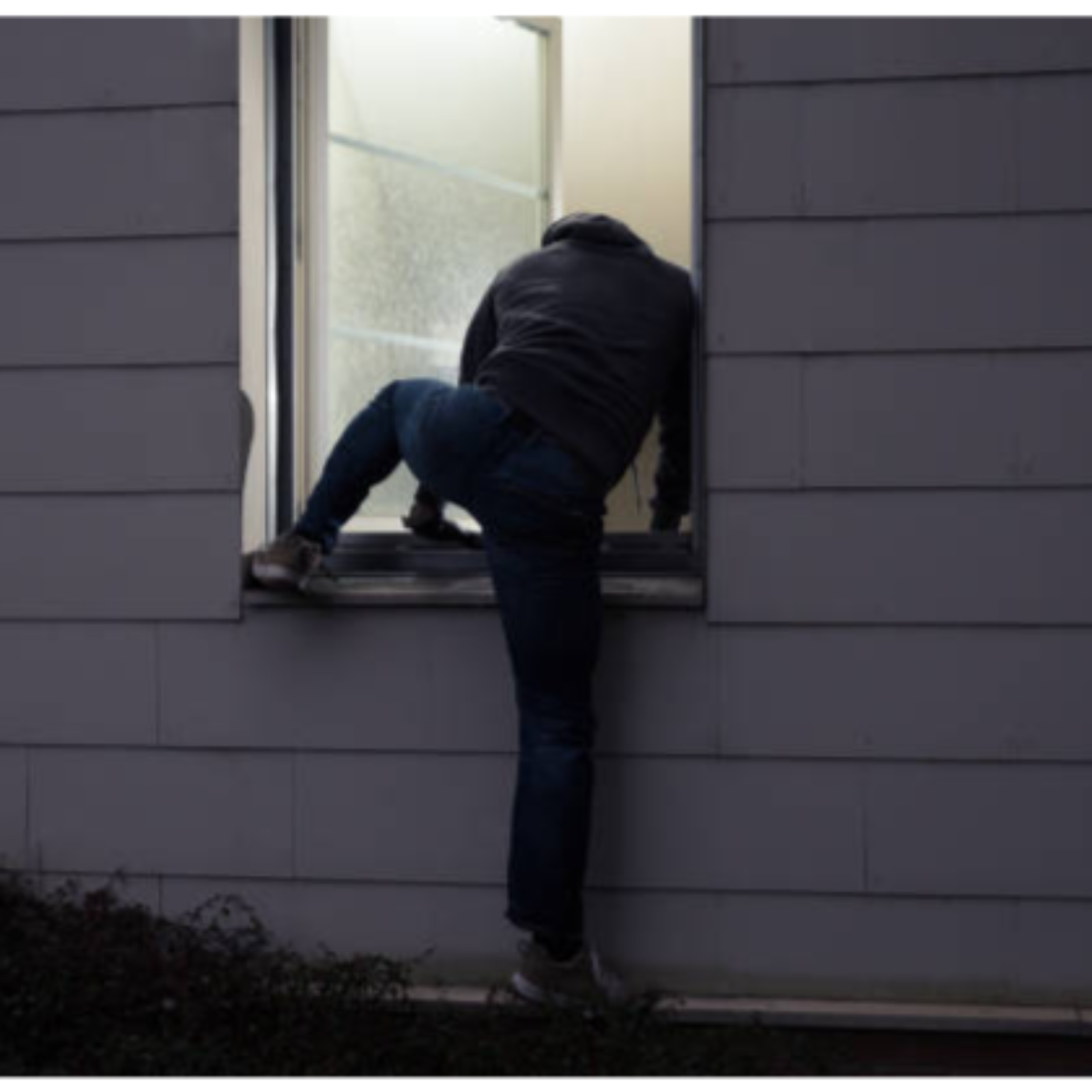 Trump Releases Criminals Back To Communities?