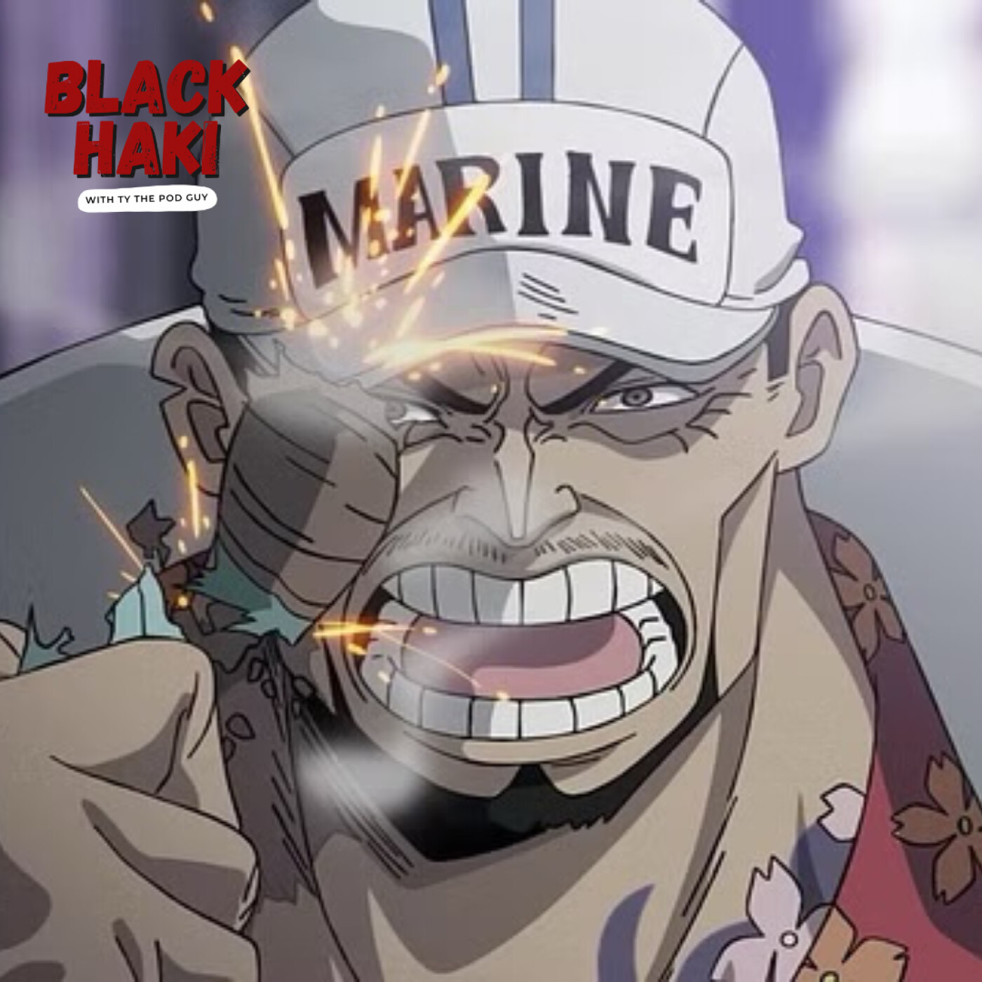 Akainu is NOT THE STRONGEST MARINE!