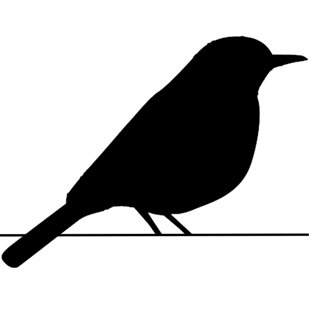 Blackbird with James Jenneman