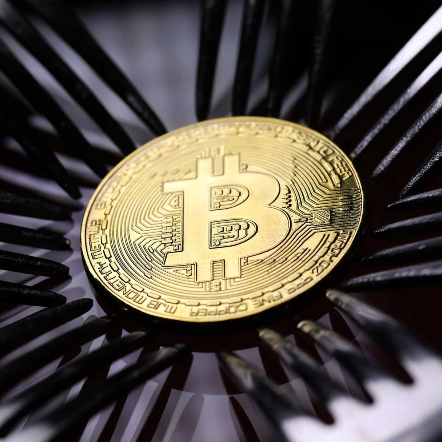 Blockchain'den Dünyaya