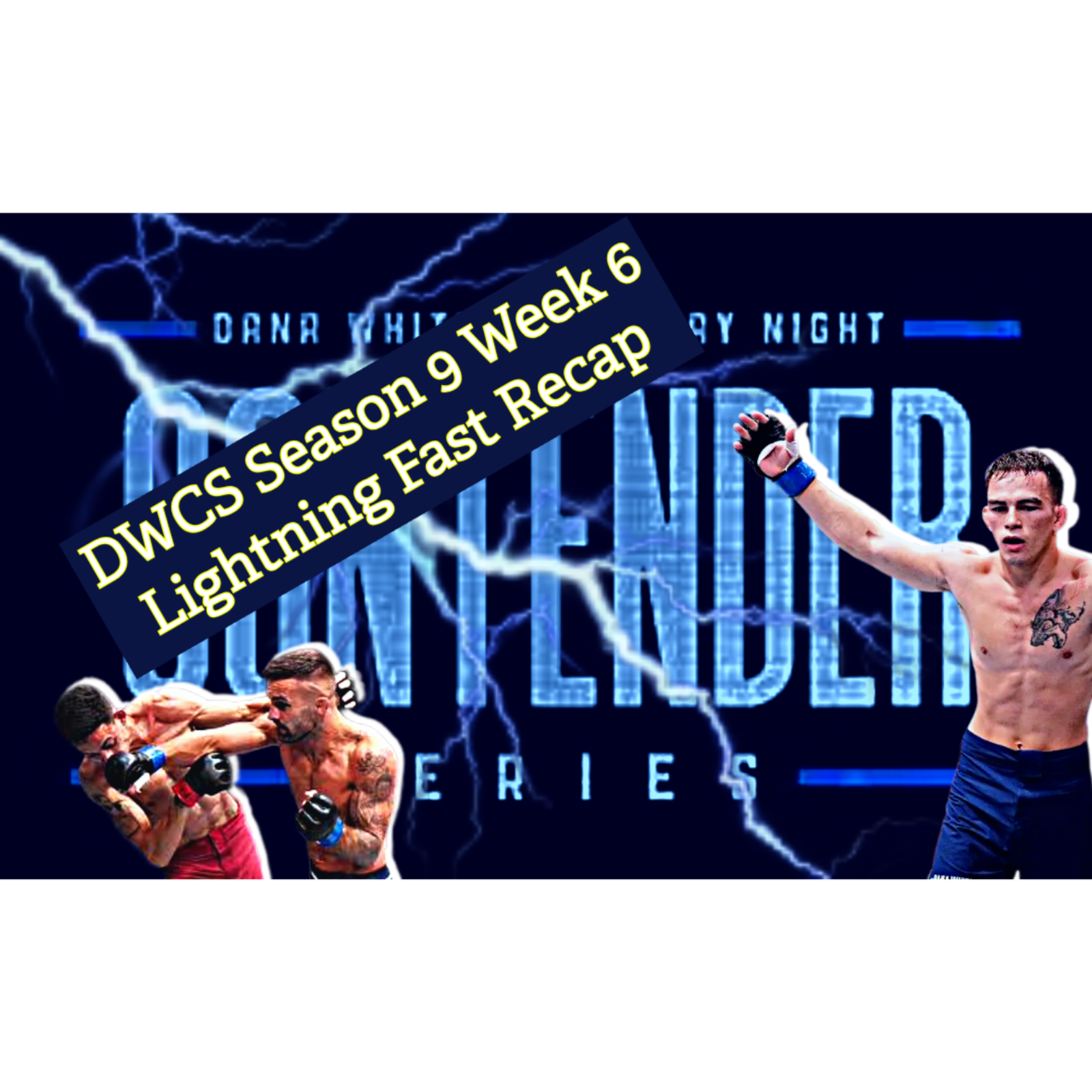 Lightning Fast Recap: Dana White's Contender Series S9 W6 - Blood and Beer 186 episode artwork