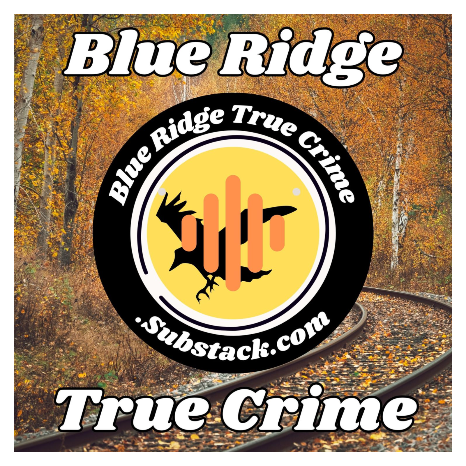 A View to a Kill? A Blue Ridge Parkway Mystery episode artwork
