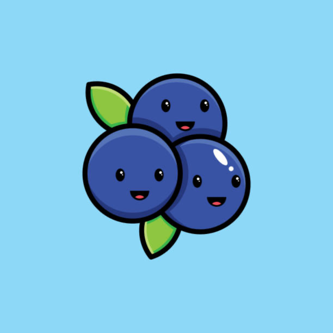 Blueberry Moments