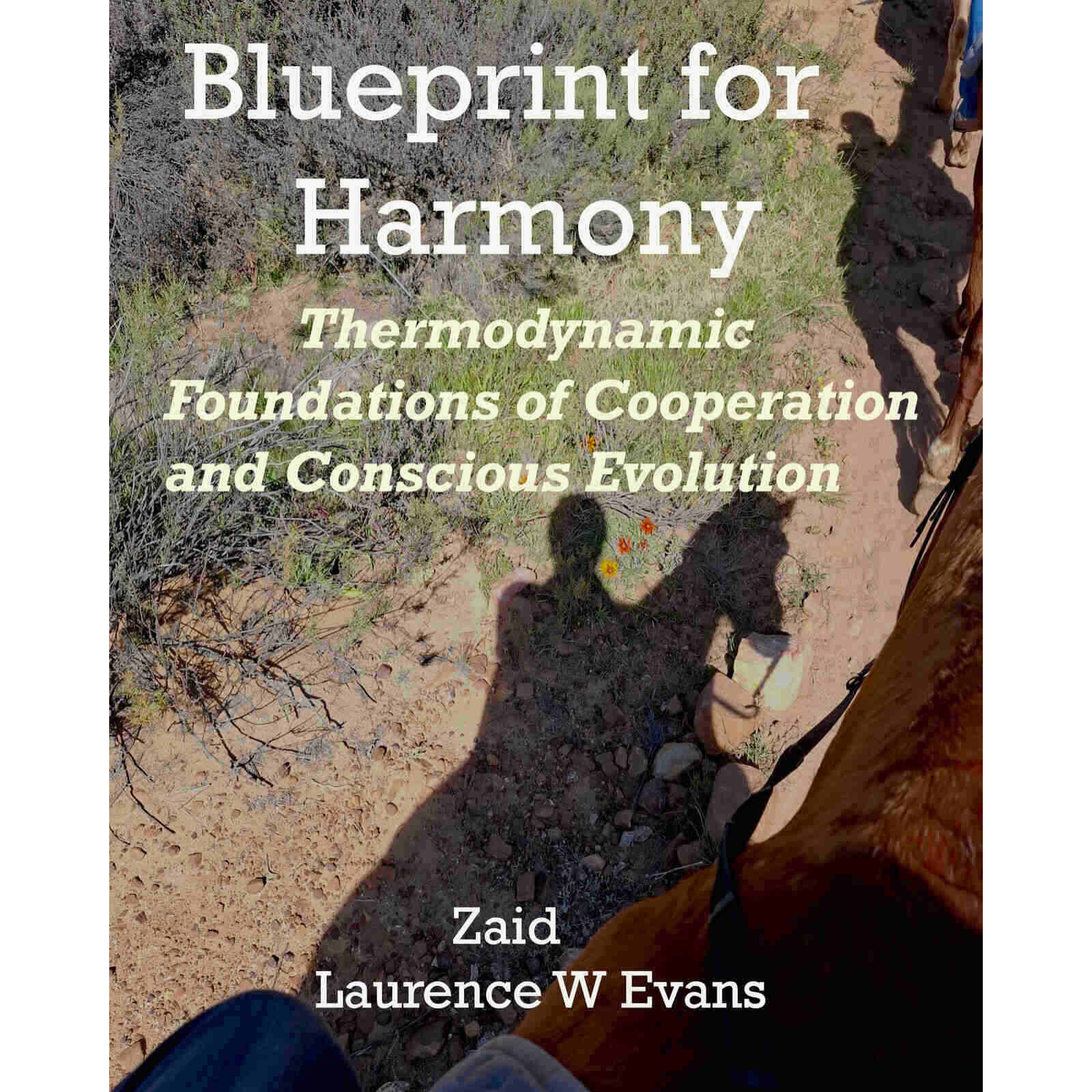 Blueprint for Harmony