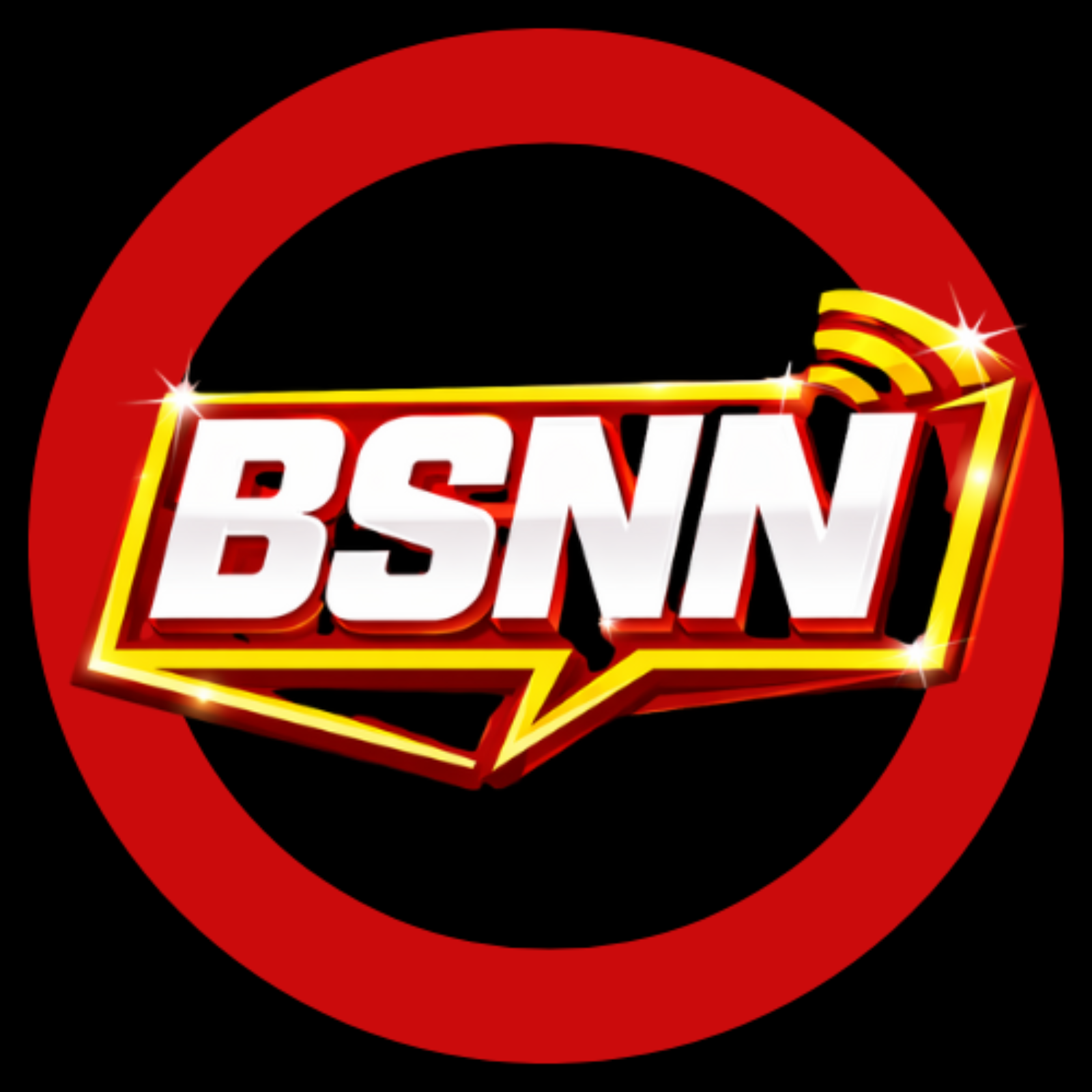 BSNN cover art