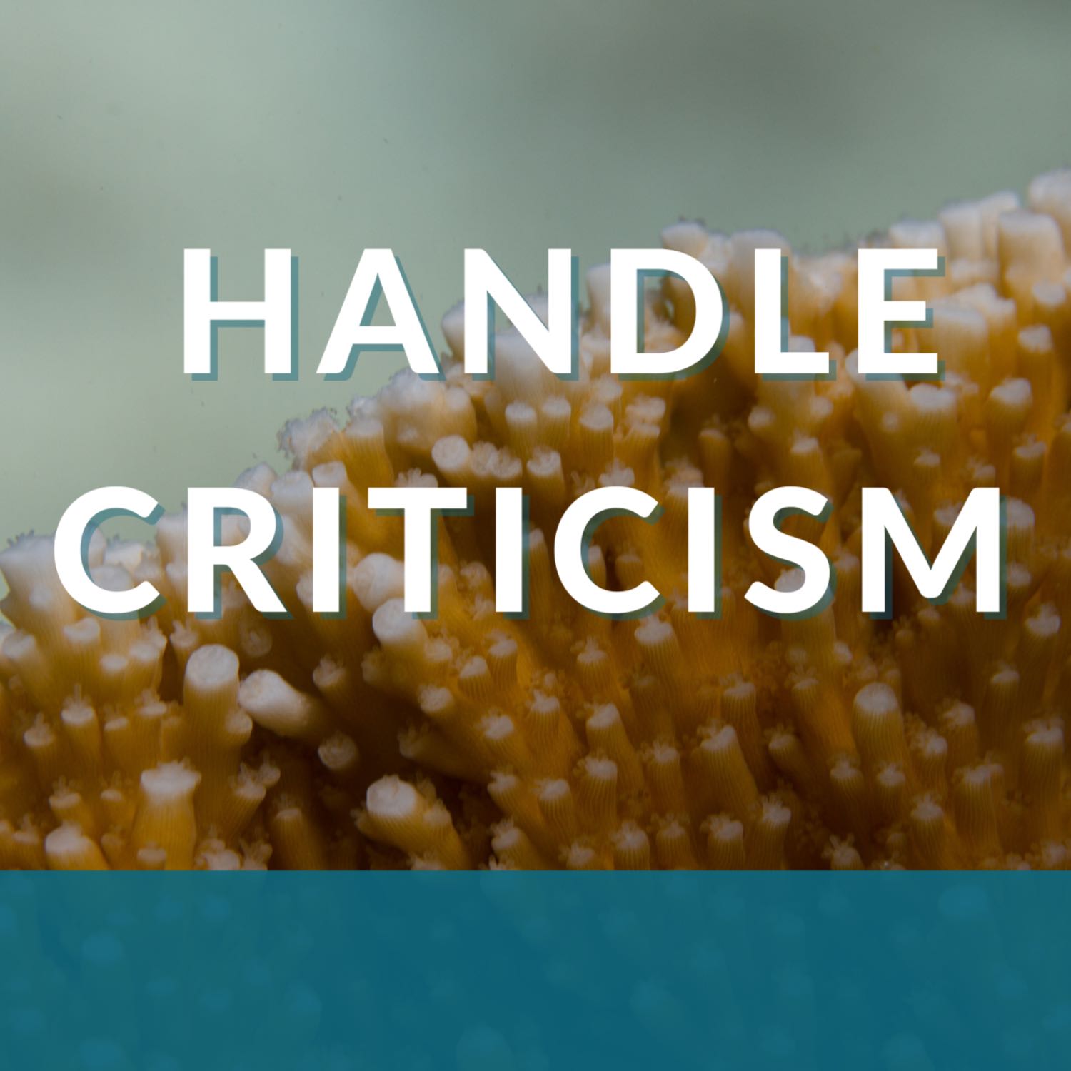 Handle Criticism episode artwork