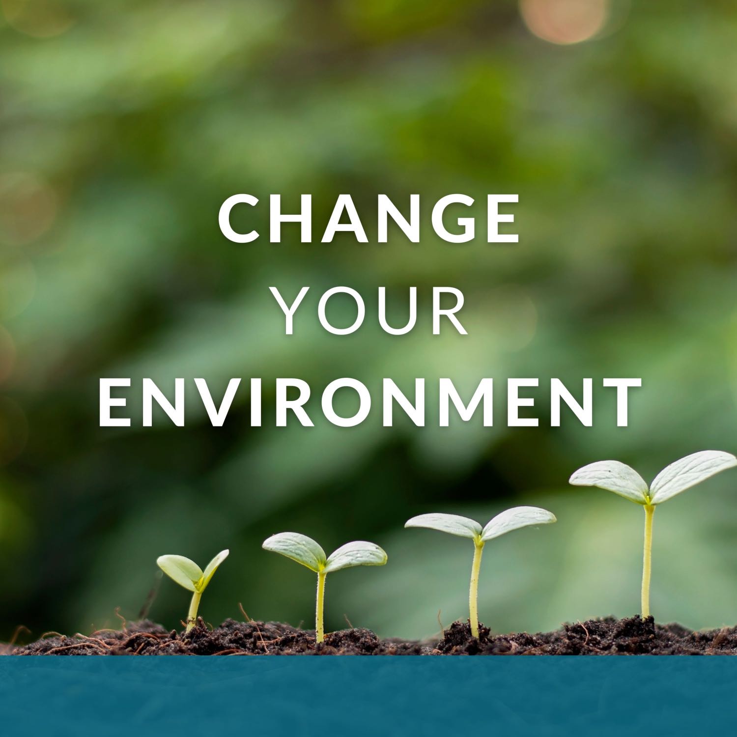 Change Your Environment episode artwork