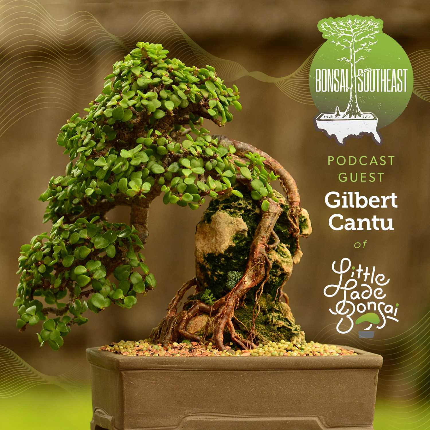 Little Things for Bonsai People