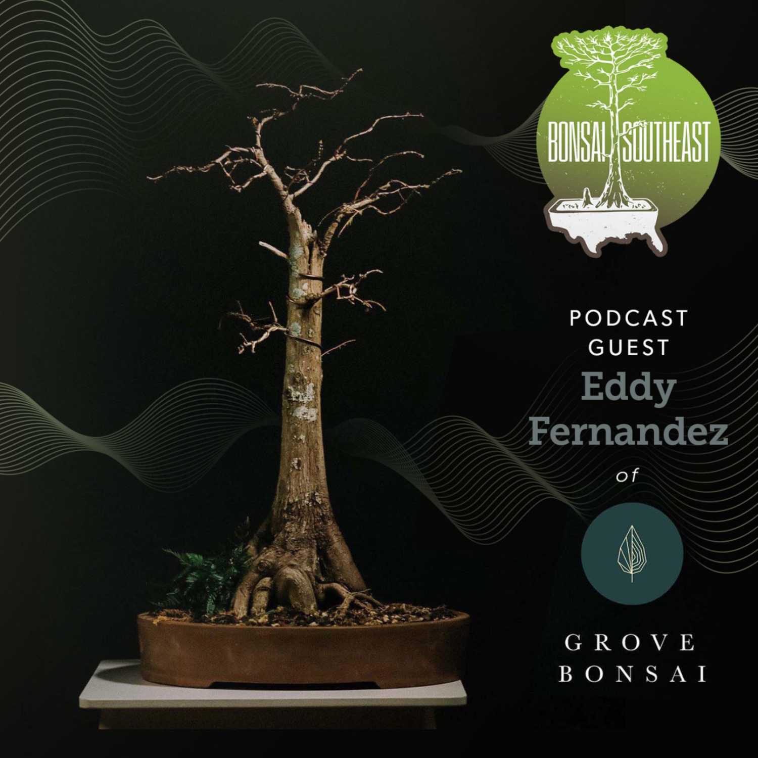 Little Things for Bonsai People