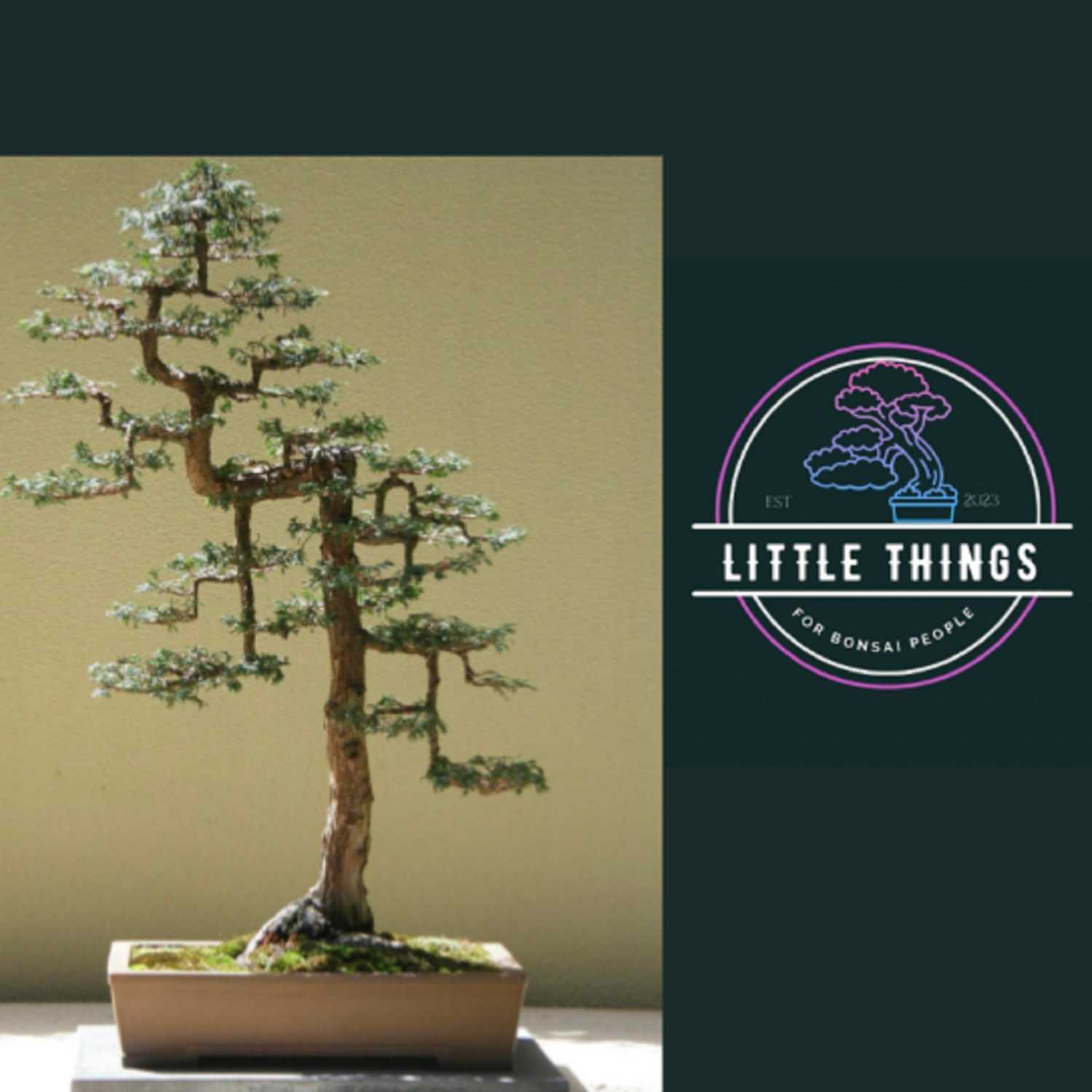 Little Things for Bonsai People