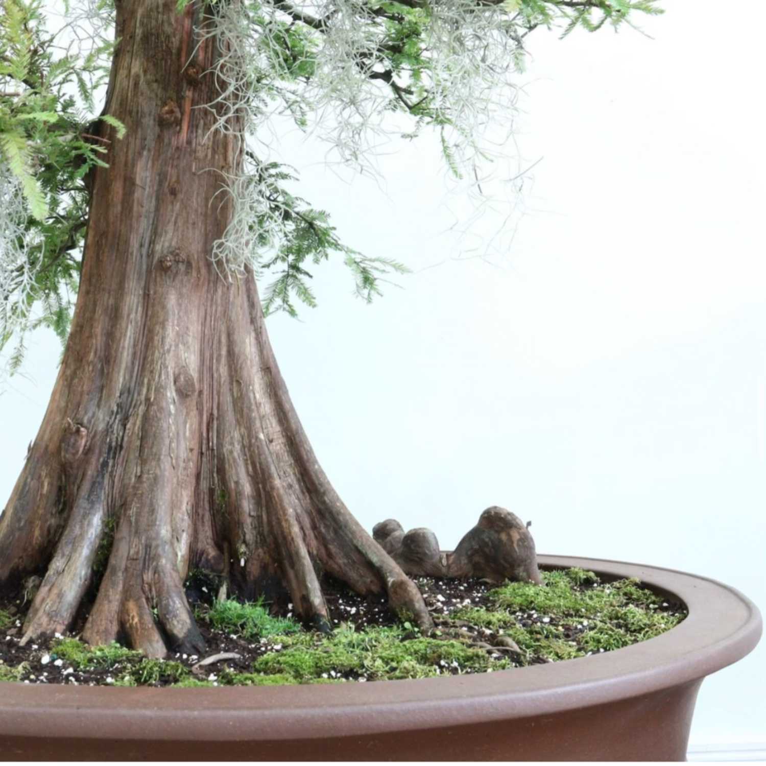 Little Things for Bonsai People