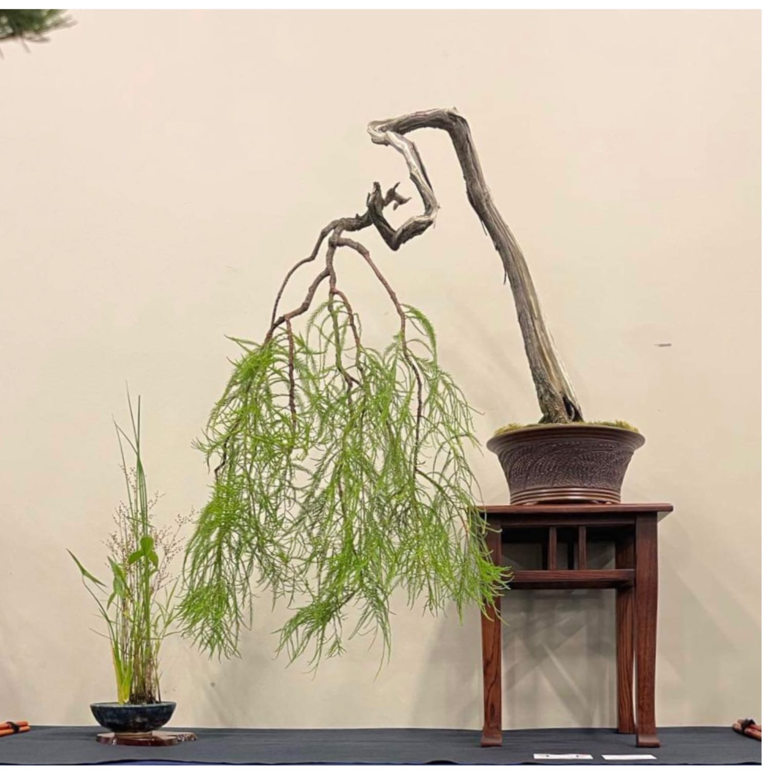 Little Things for Bonsai People