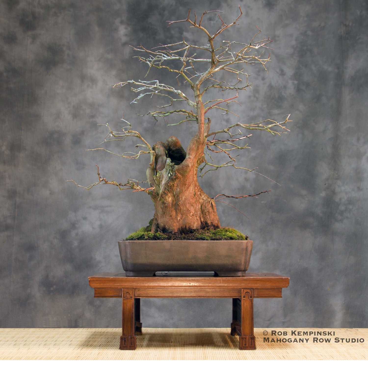Little Things for Bonsai People