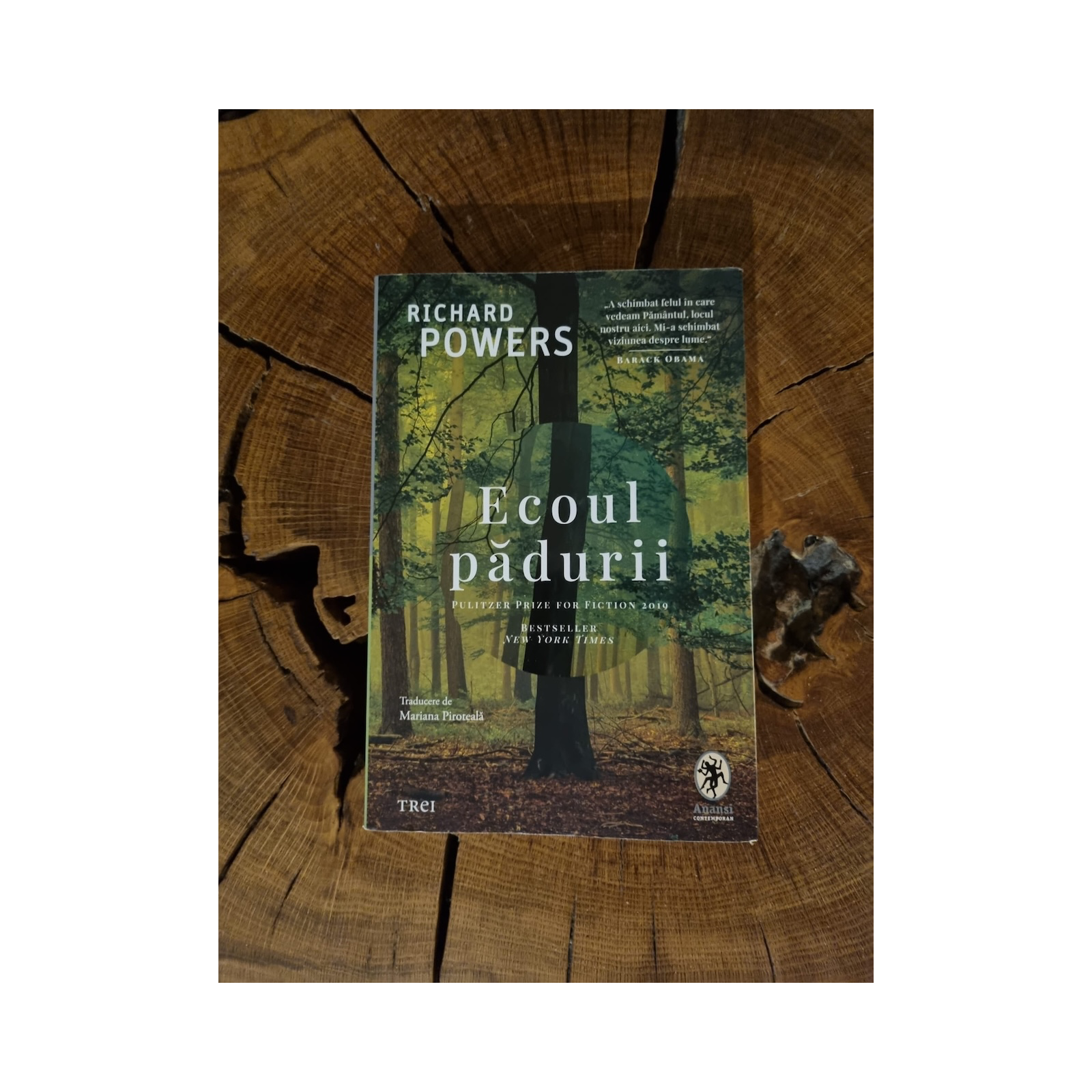 Despre oameni si copaci, o relatie care schimba felul in care vedem lumea. ECOUL PADURII, de Richard Powers episode artwork