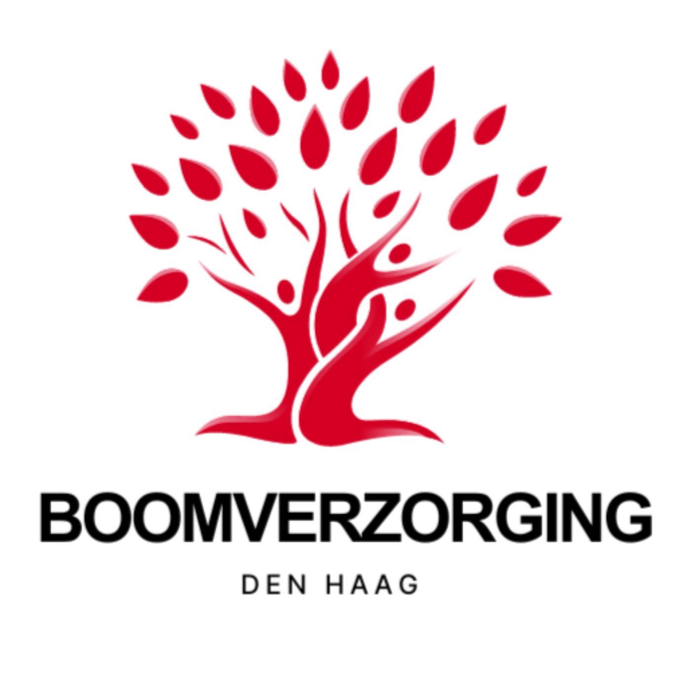 Boomverzorging Den Haag