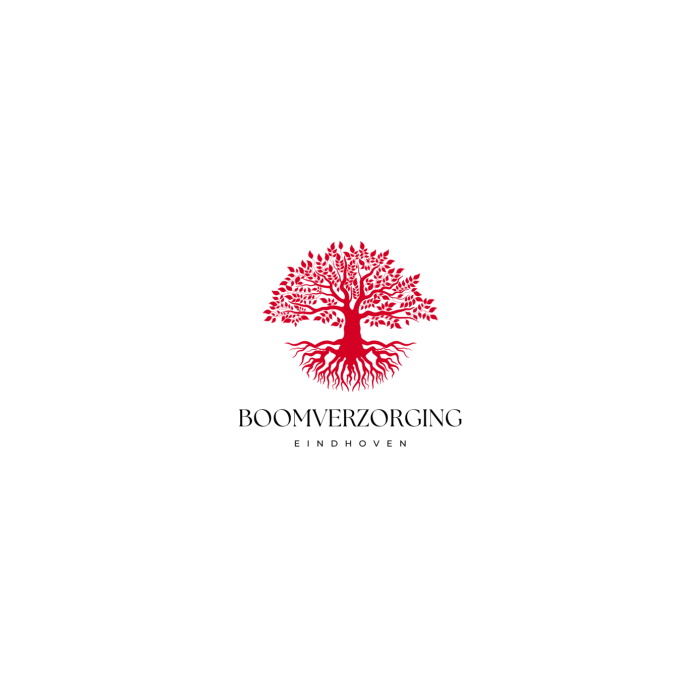 Boomverzorging Eindhoven