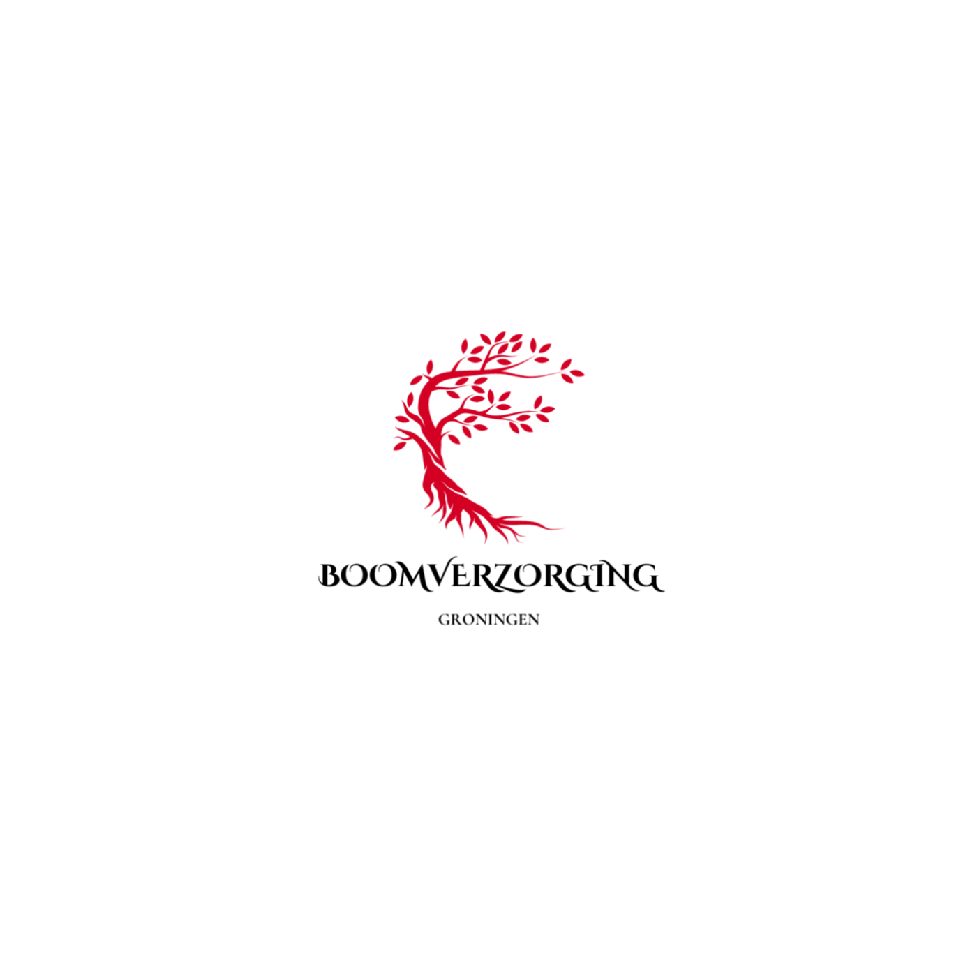 Boomverzorging Groningen