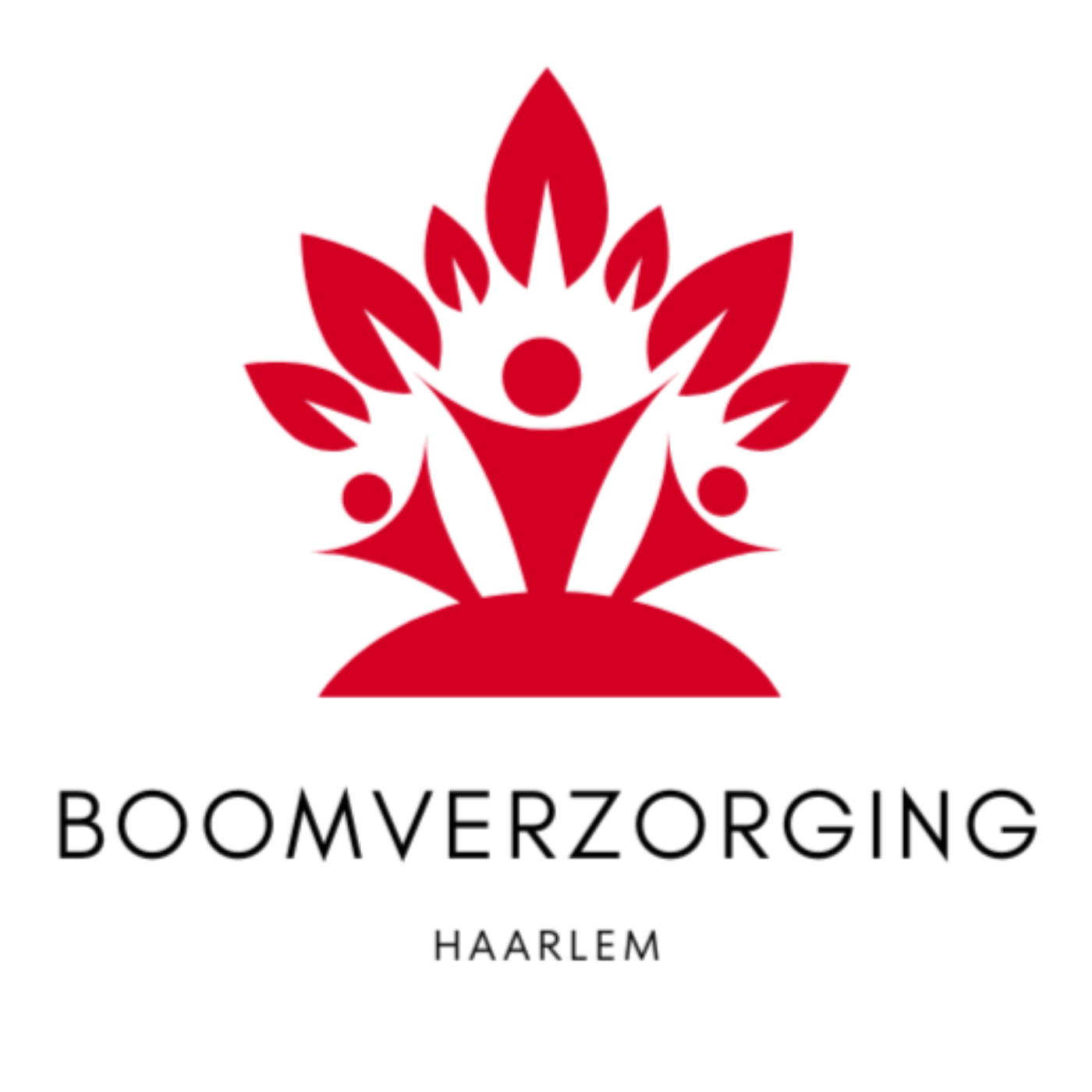 Boomverzorging Haarlem