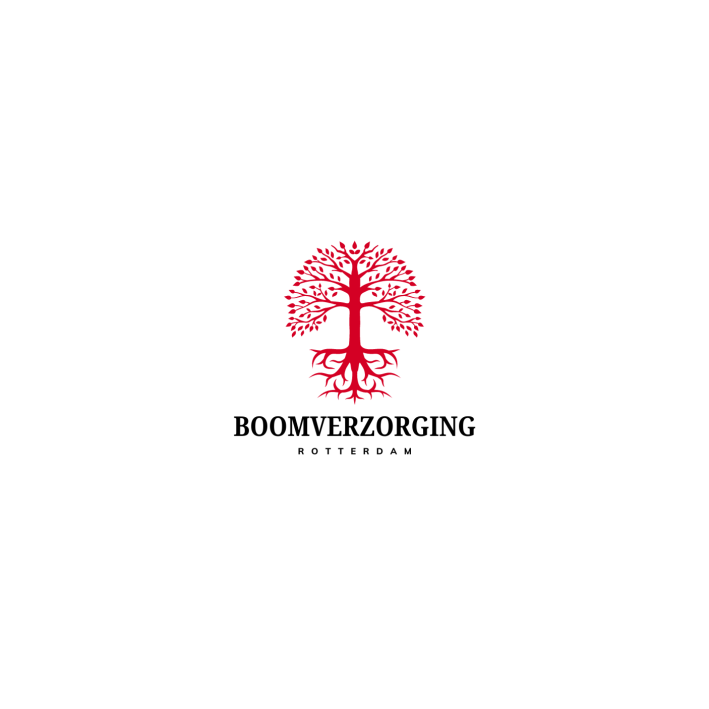 Boomverzorging Rotterdam