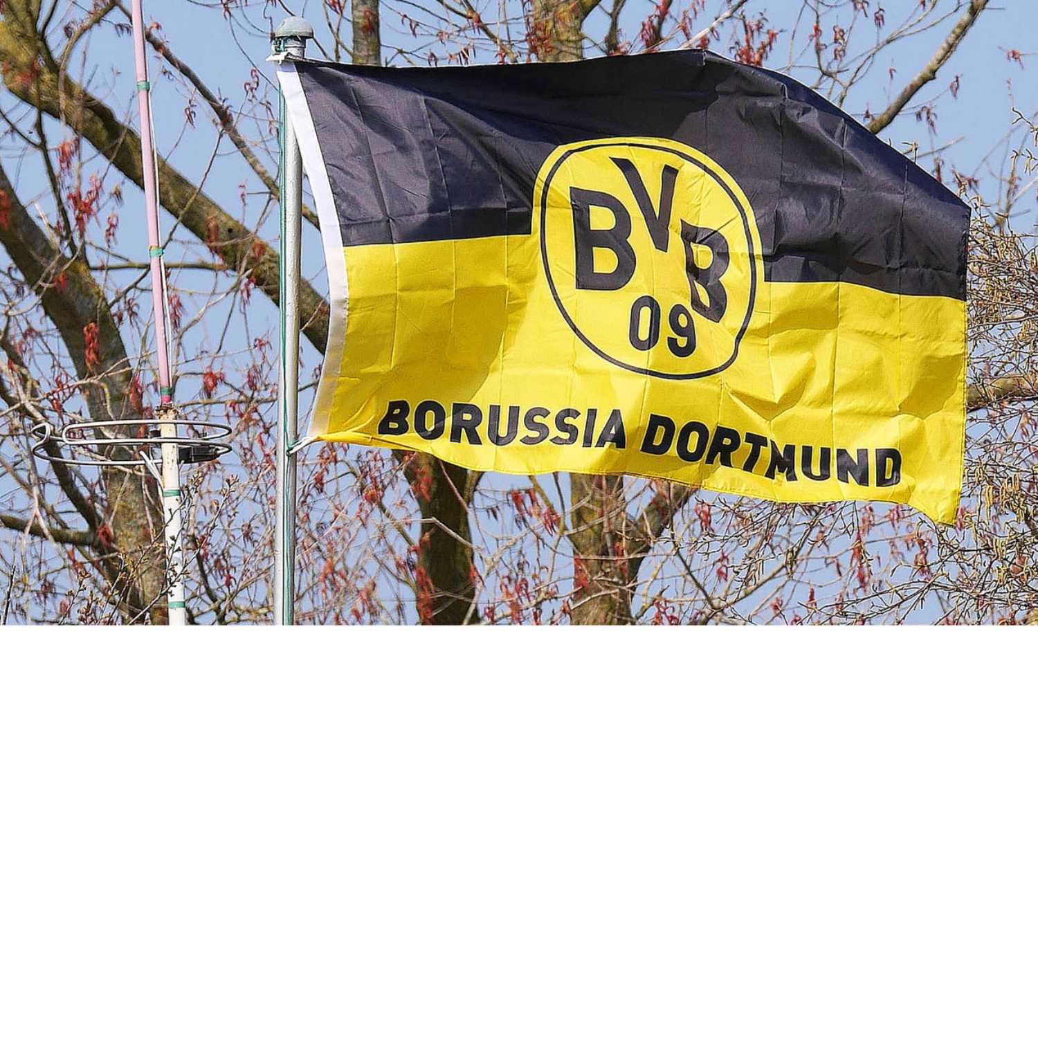 borussia dortmund
