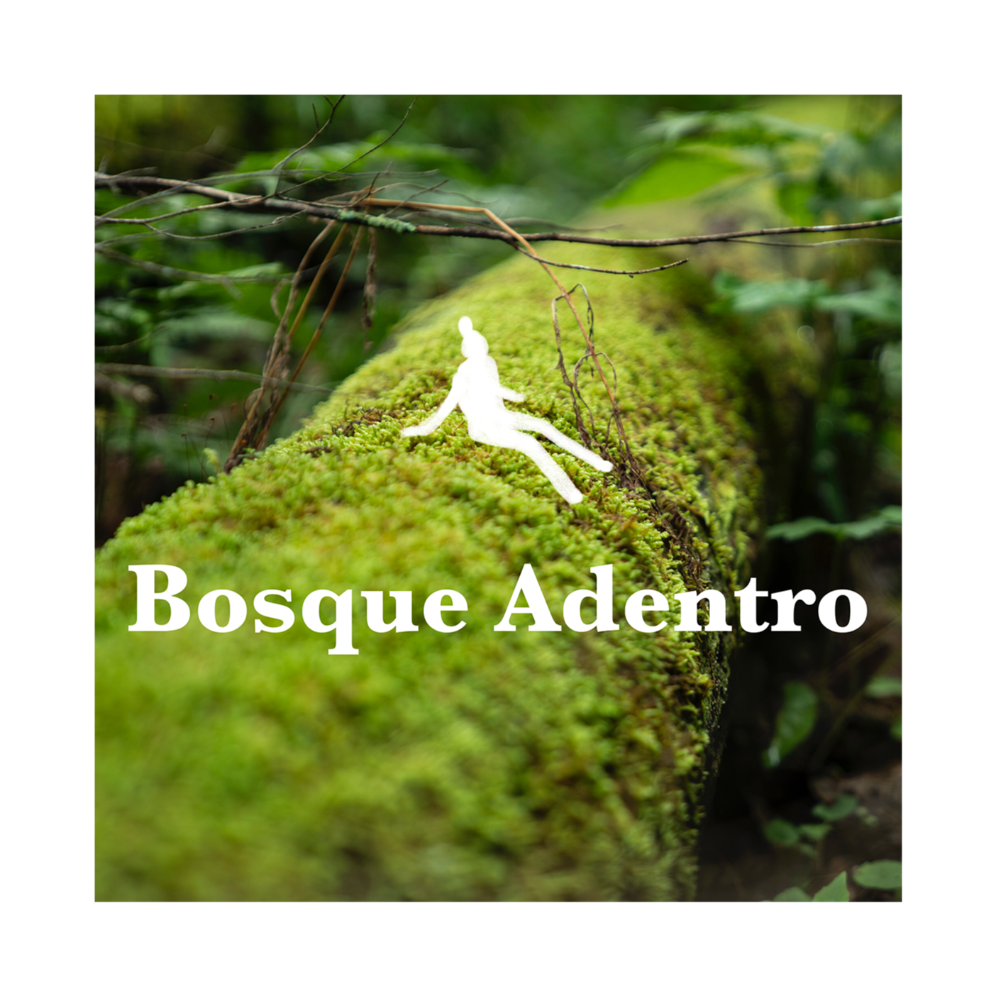 Bosque Adentro, meditación y espiritualidad con Nicolás Achury