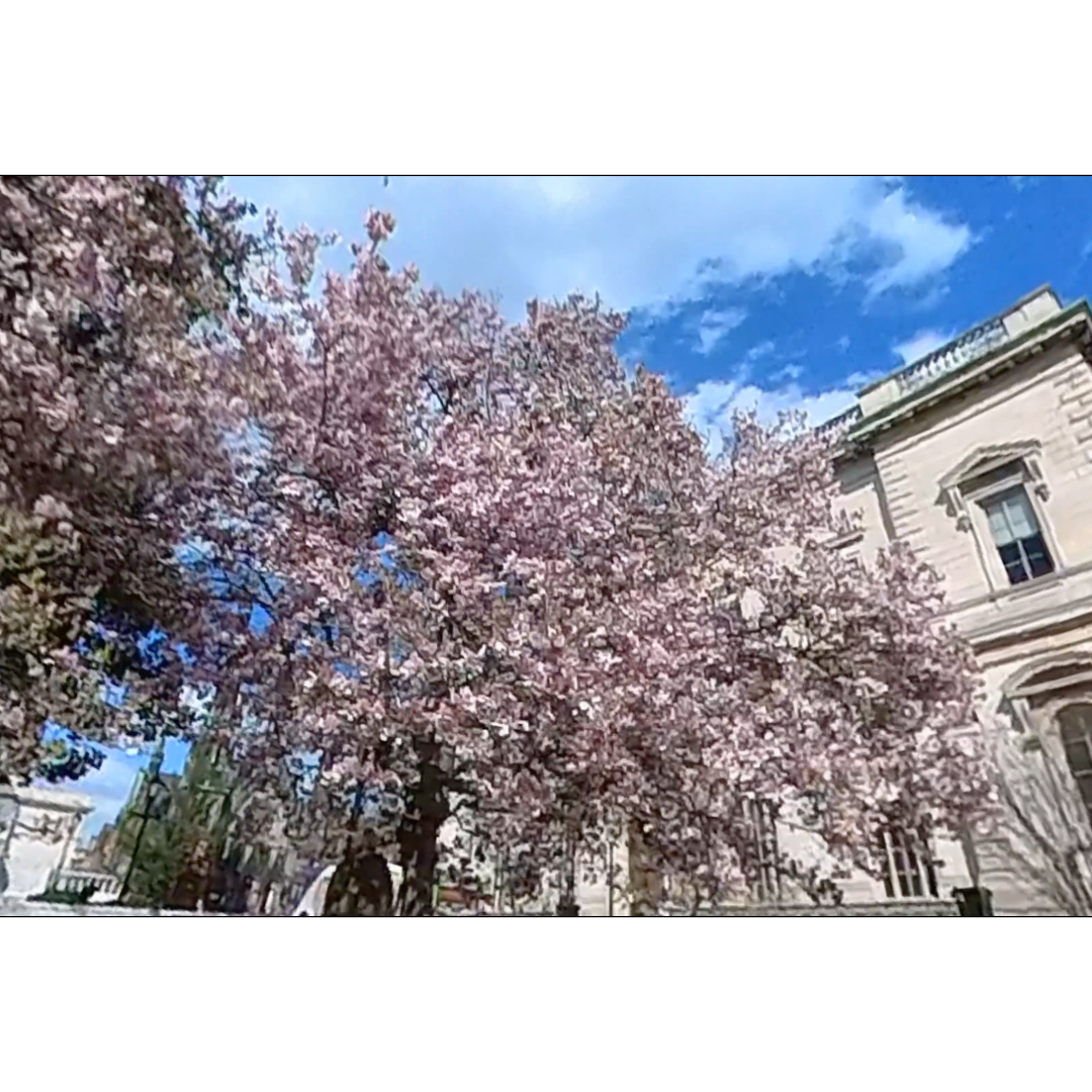 FROM LARRY'S  PLACE cover art