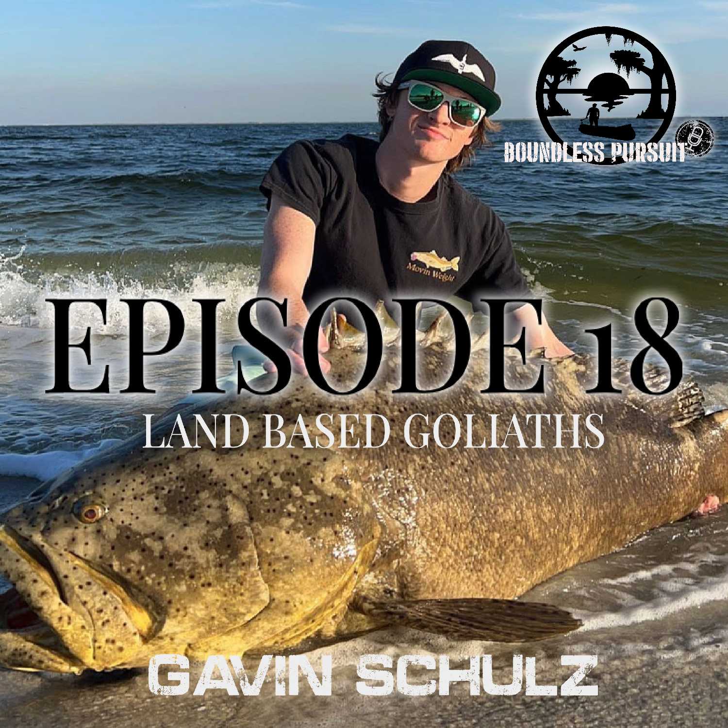 Episode 18:  Land Based Goliaths, with Gavin Schulz