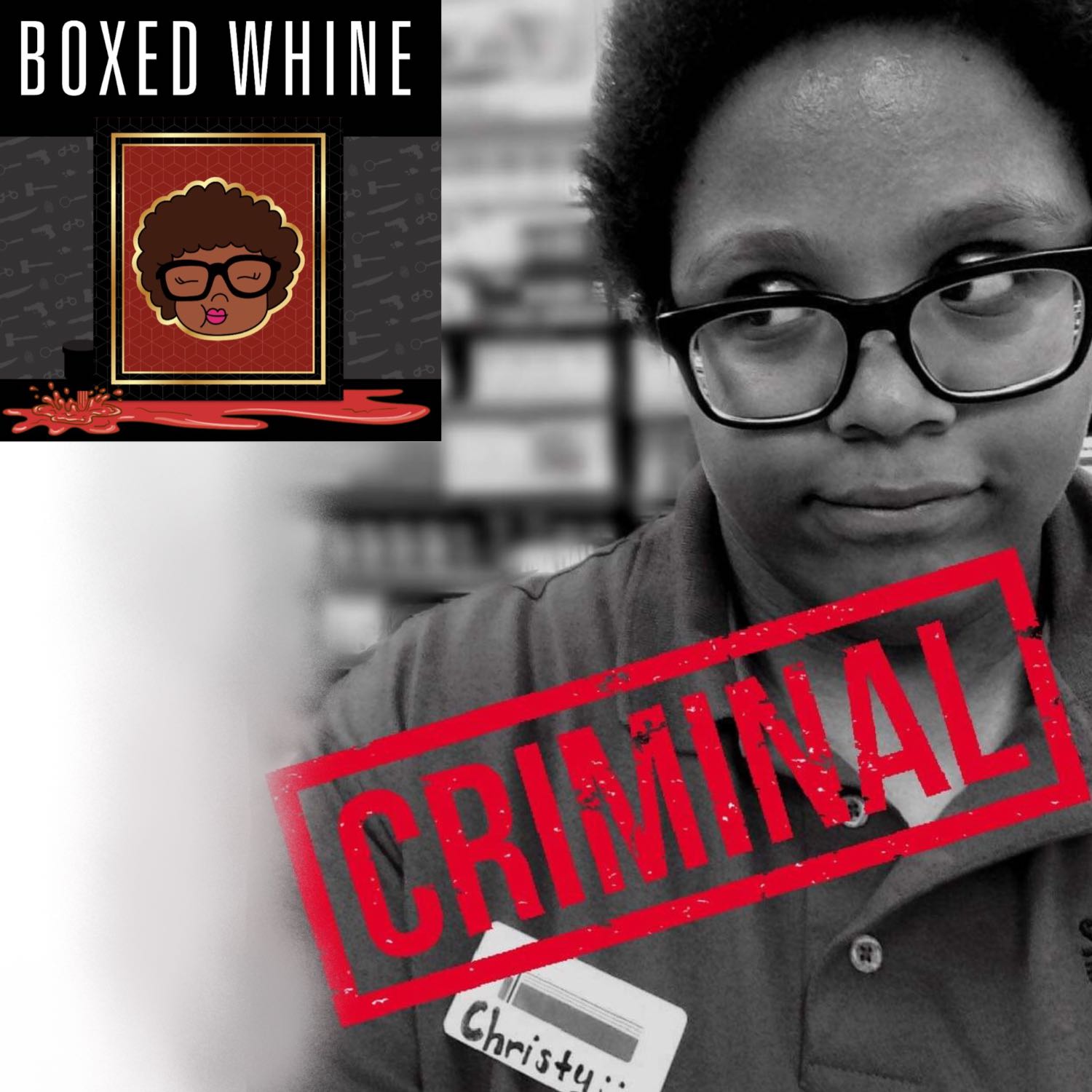 The Case of the Criminal Record