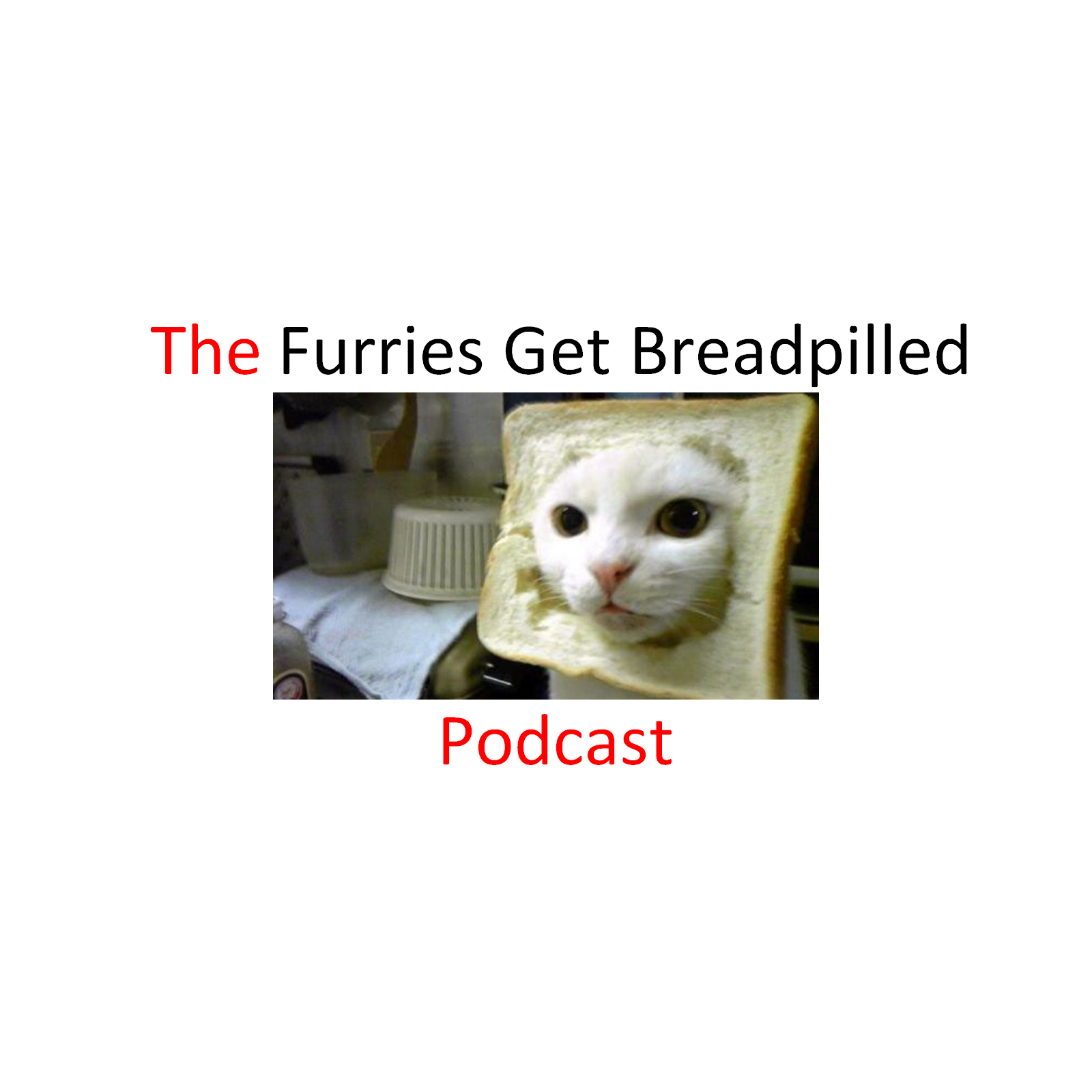 Podcast Image