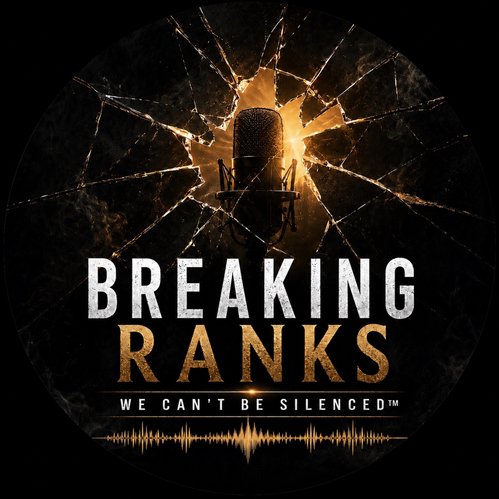 Artwork for Breaking Ranks: We Can’t Be Silenced ™