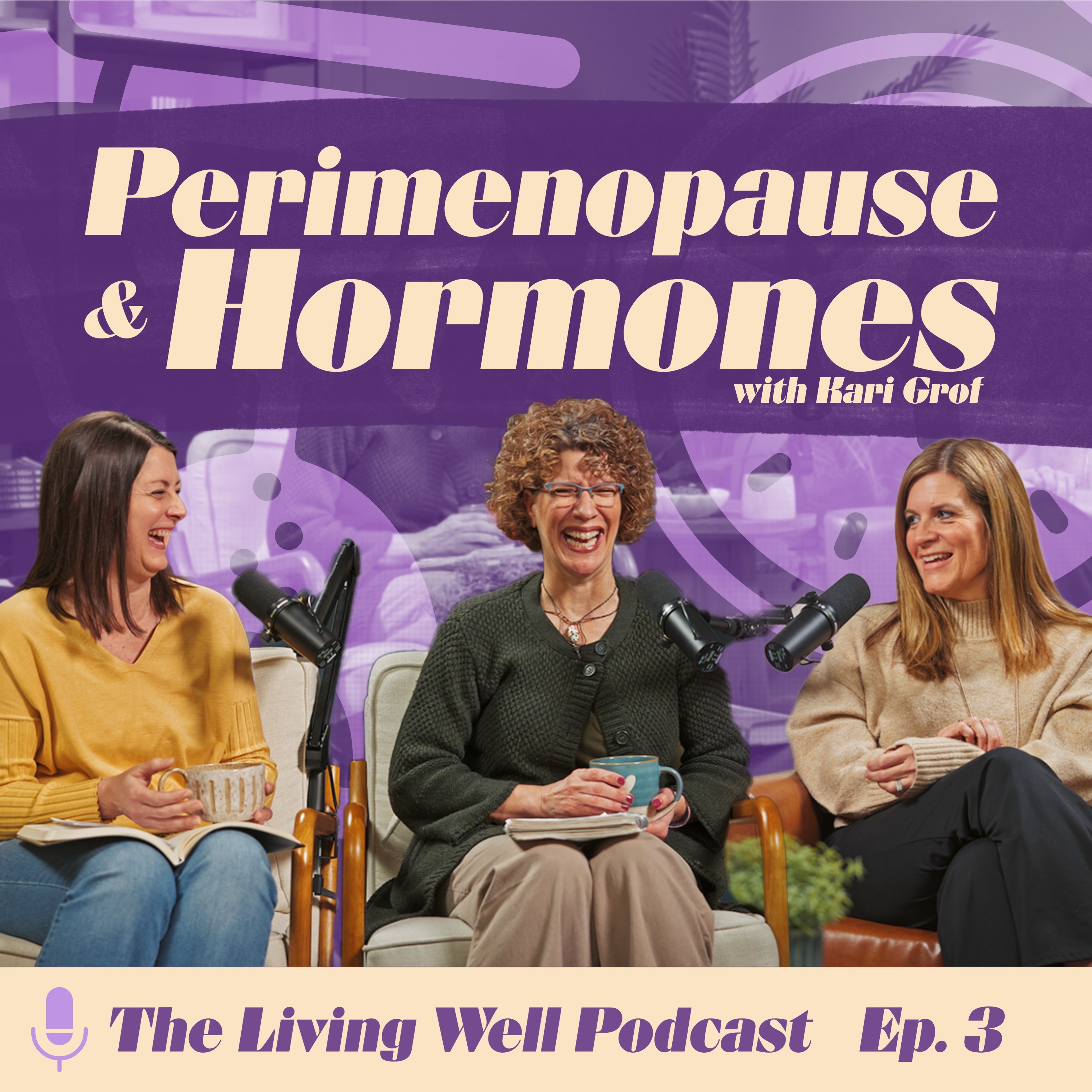 Perimenopause & Hormones: Why You Feel Off (And How to Fix It) episode artwork