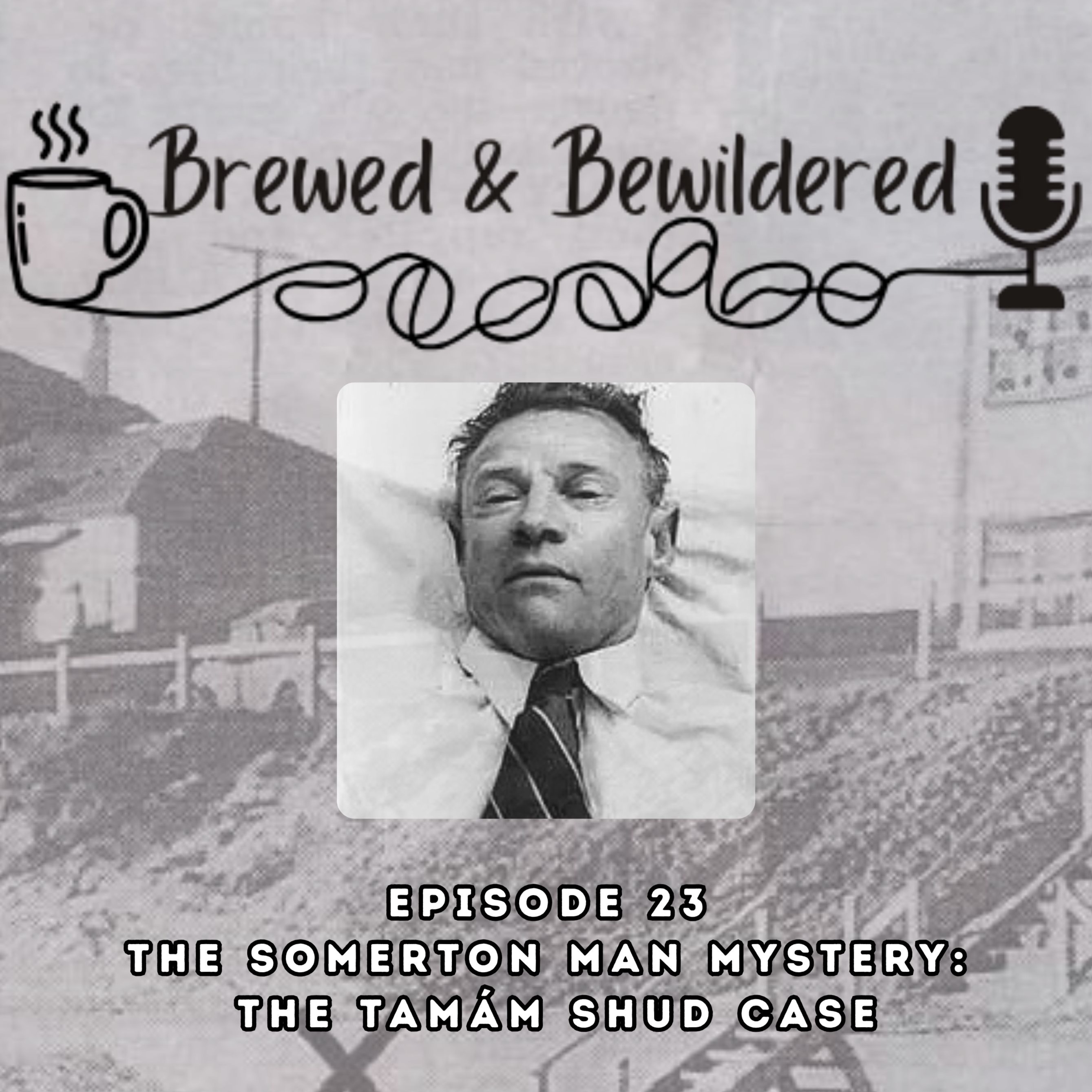 The Somerton Man Mystery: The Tamám Shud Case episode artwork