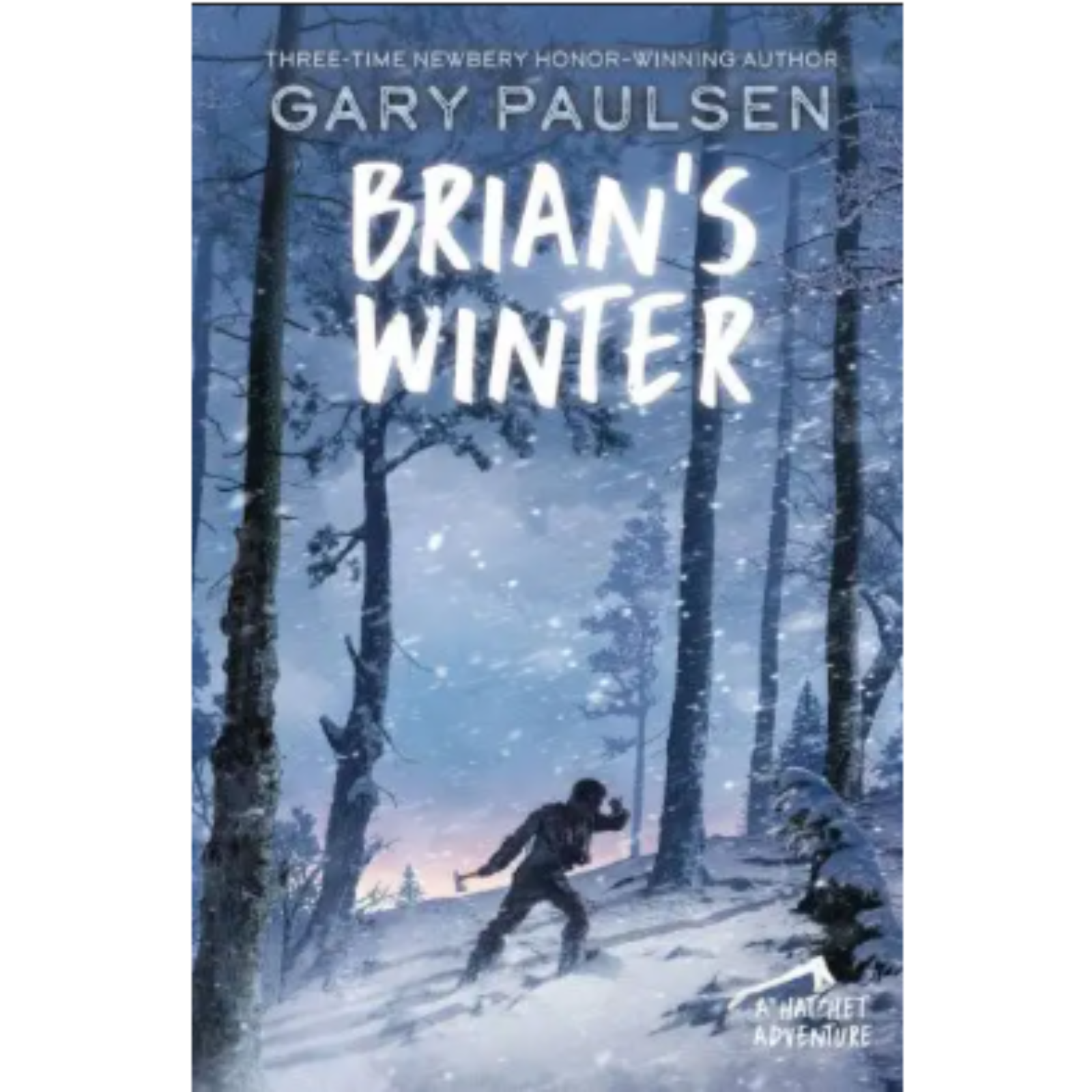 Brian's winter podcast