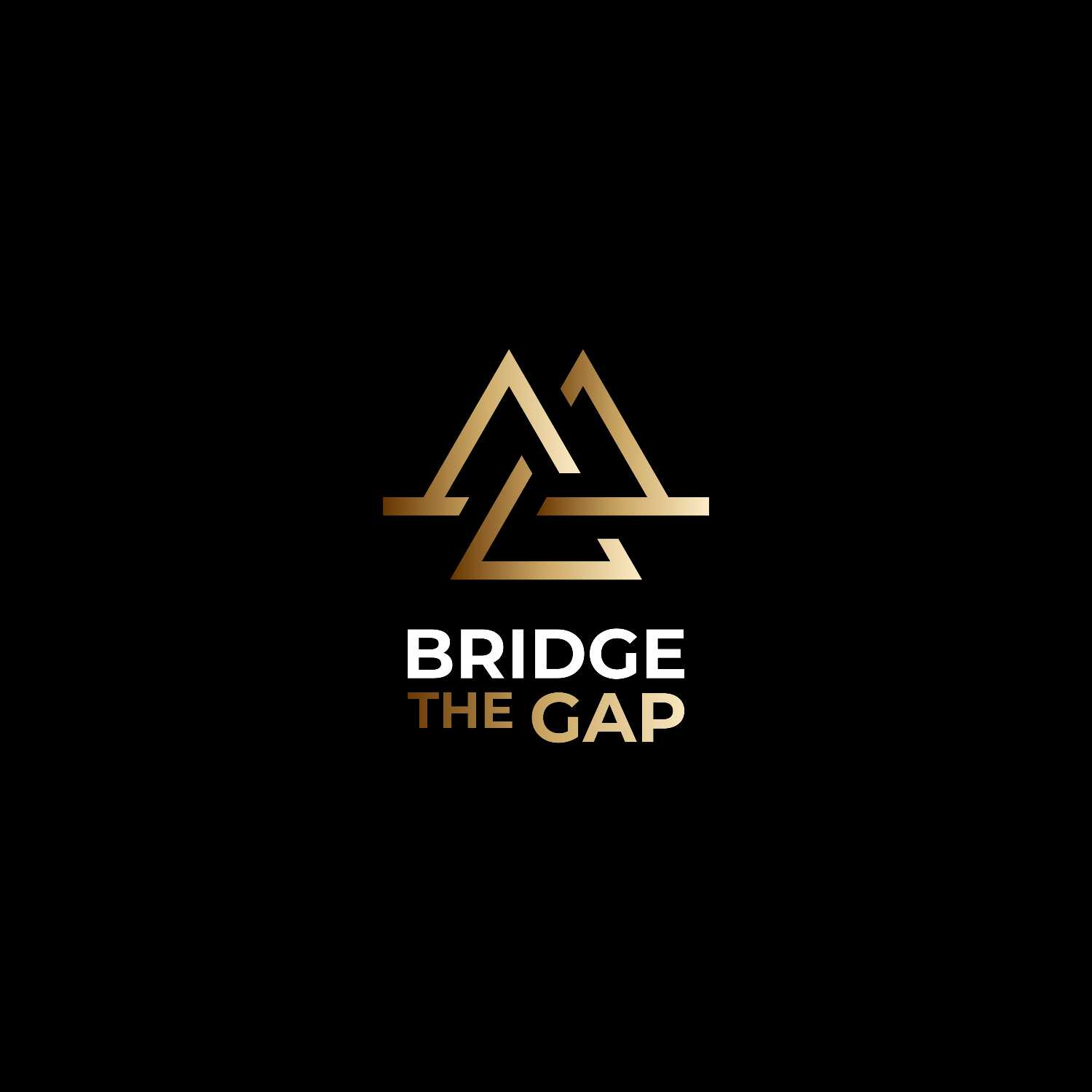Bridge The Gap