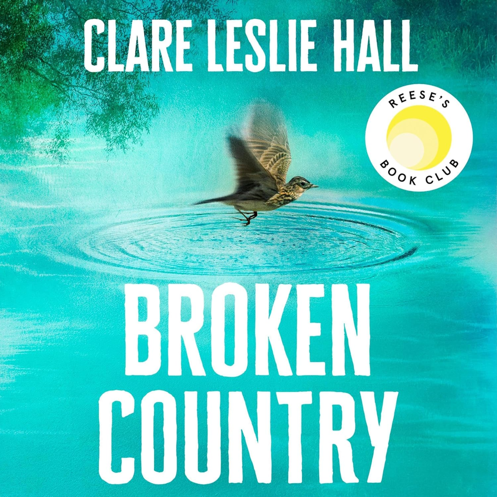 Broken Country by Clare Leslie Hall, Book Summary, Podcast, English