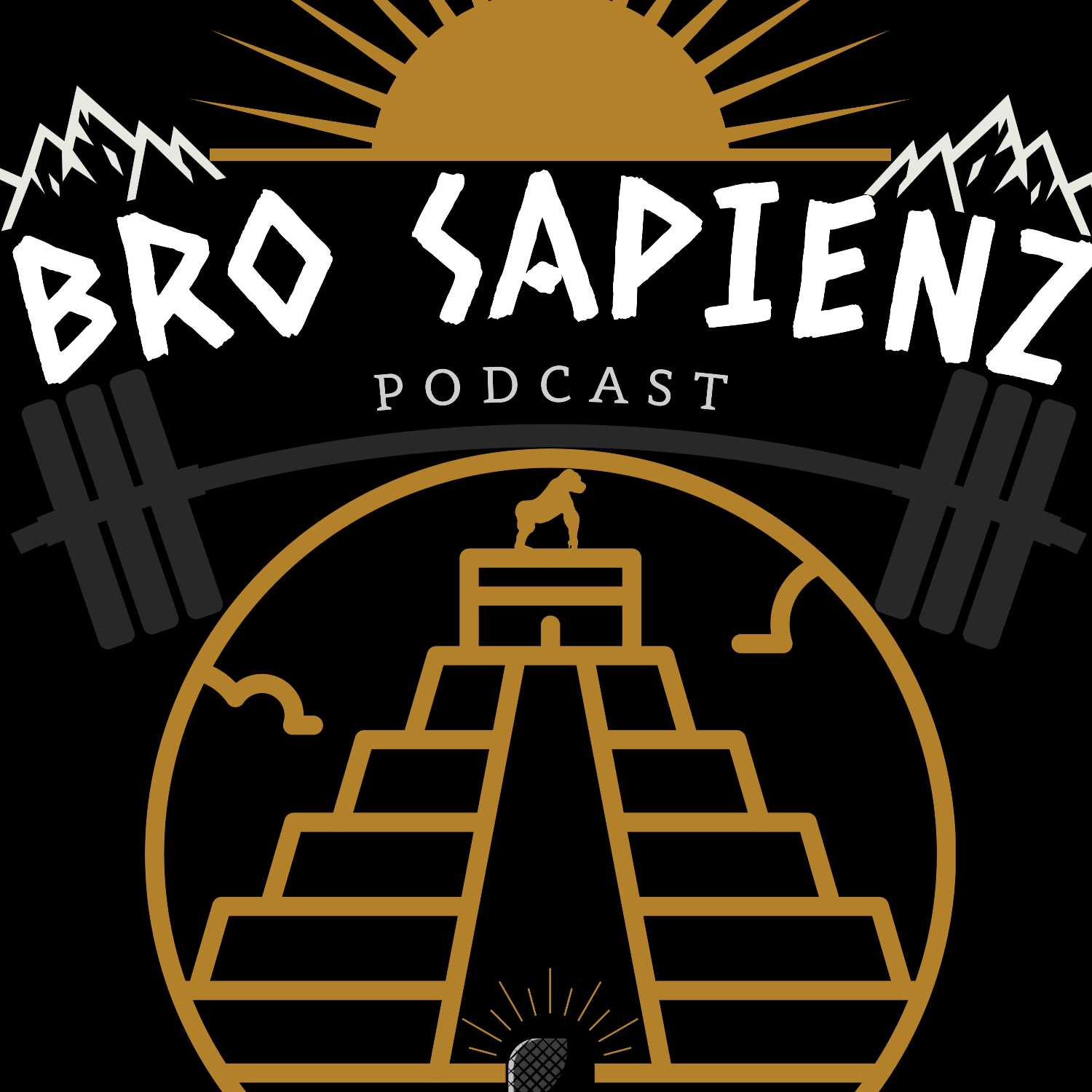 HOMELESSNESS IN CA MENS MENTAL HEALTH CRISIS BROSAPIENZ #008 episode artwork