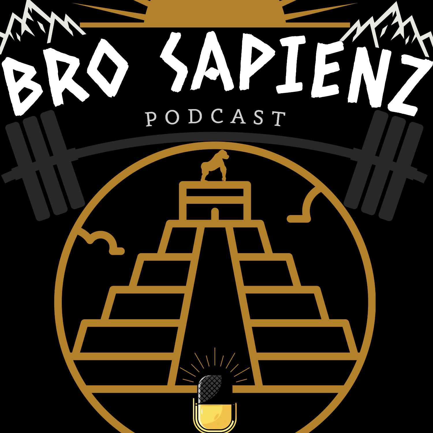 BRO SAPIENZ