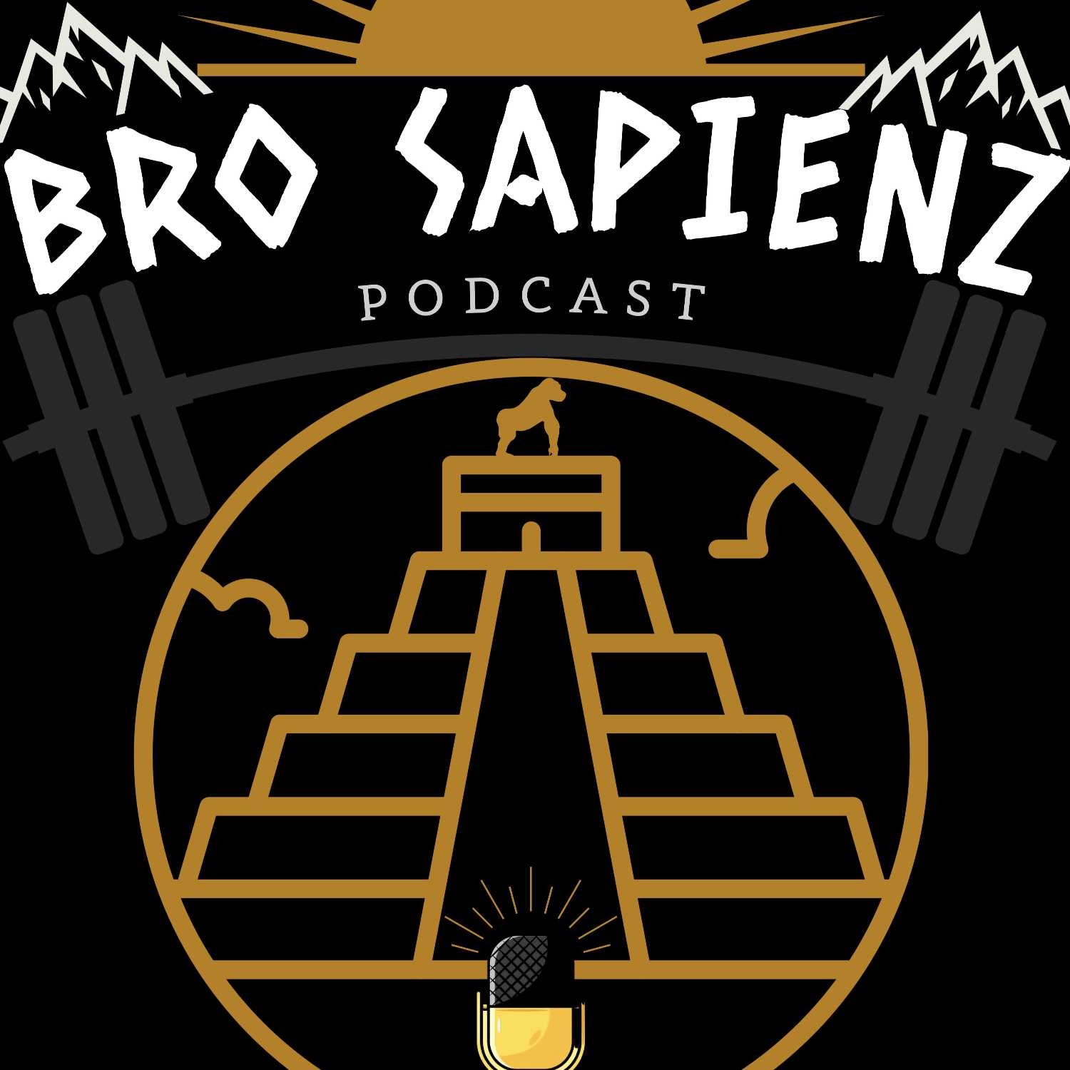 CONSPIRACY THEORIES, ARE THE ALIEN SIGHTINGS REALLY US? AGENDA OPINIONS, BROSAPIENZ #017 episode artwork