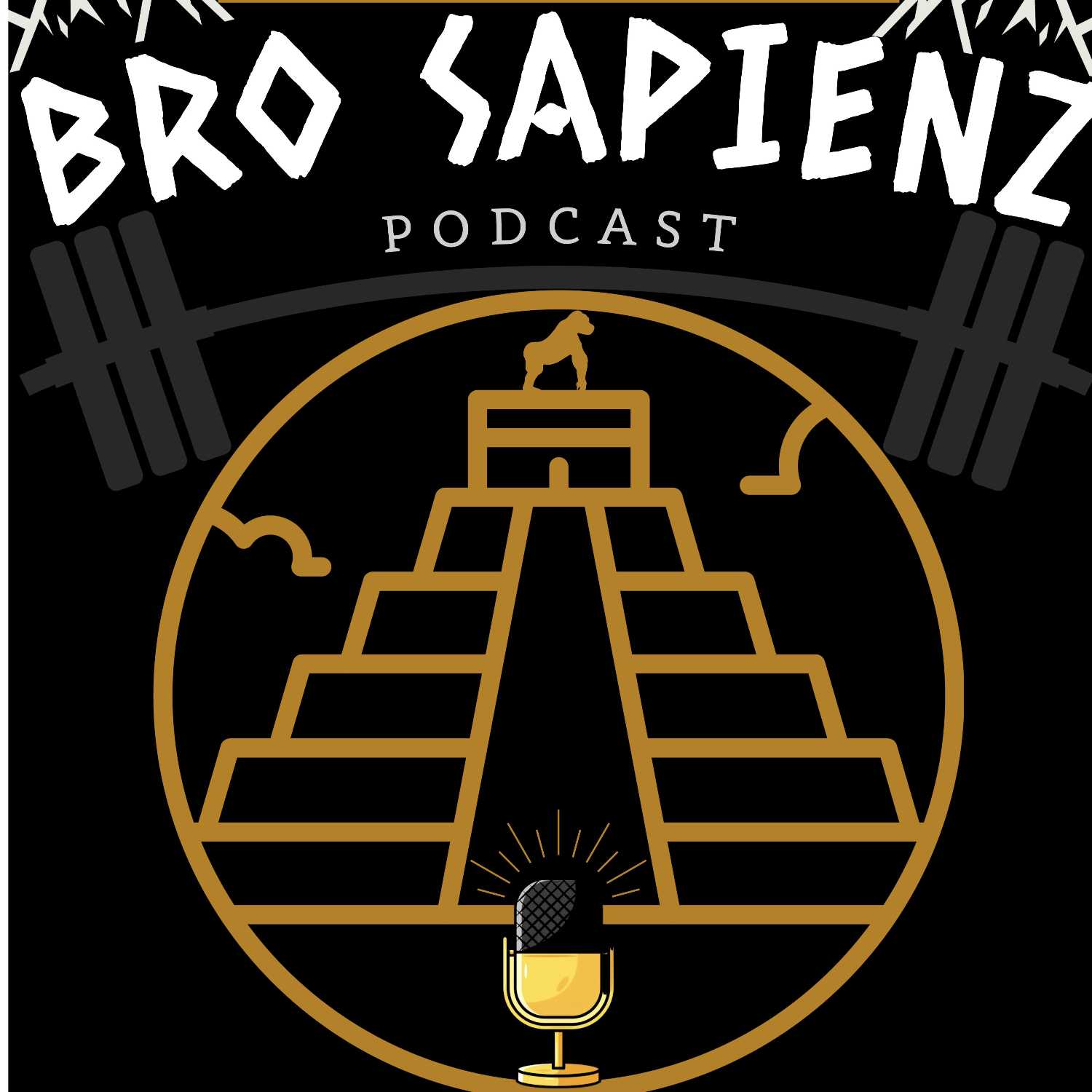 CANELO VS JERMELL CHARLO, DOOMSDAY PREPPING, V FOR VENDETTA REALITY? BROSAPIENZ #021 episode artwork