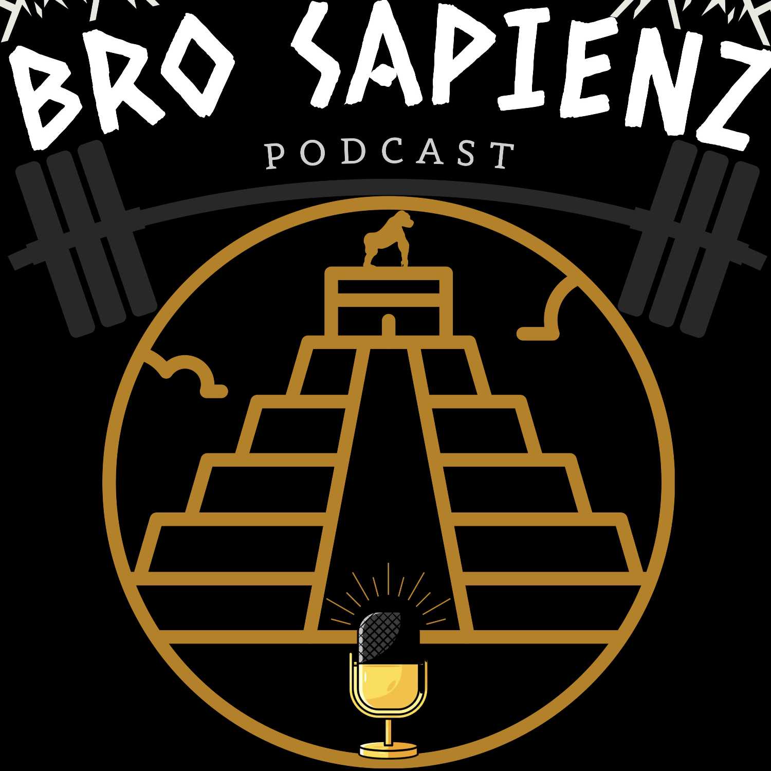 INSANE INFLATION, CANELO CONQUERS CHARLO, UPCOMING UFC & NFL BROSAPIENZ #022 episode artwork