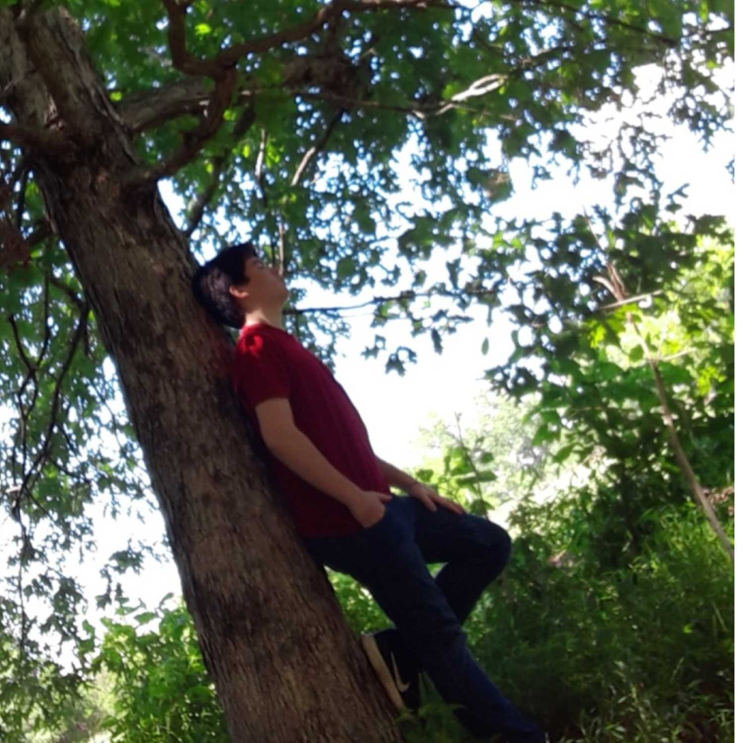 Can You Lick My shoes?