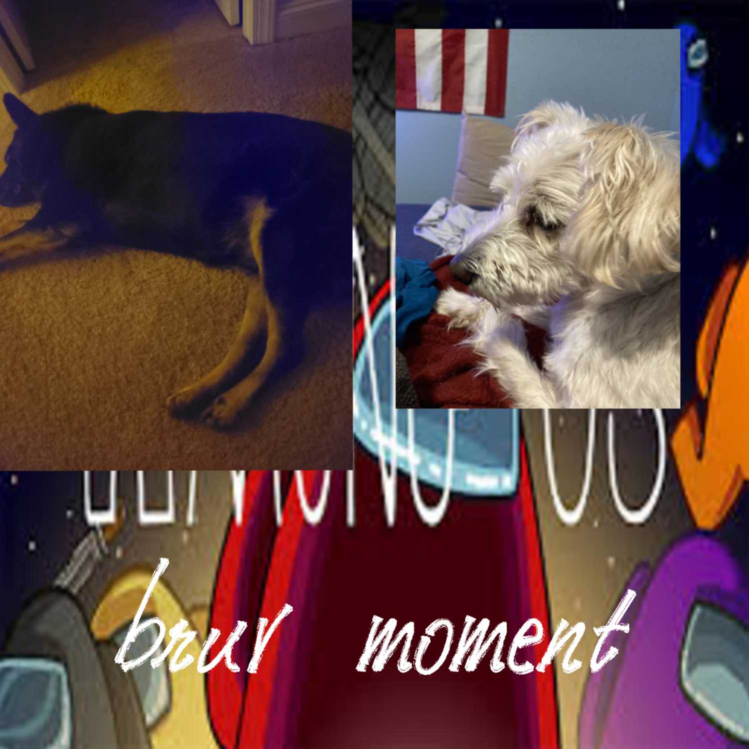 Bruv moment- the podcast cover art